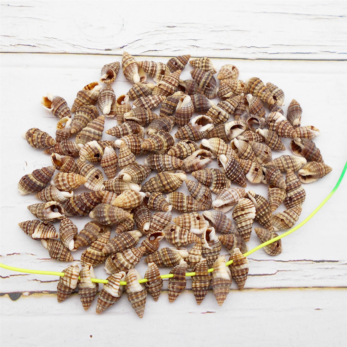 50g One Pack Marine Shell with Hole Natural Conch Shell Bead for DIY Jewelry Making, Fish Tank Aquarium Decor
