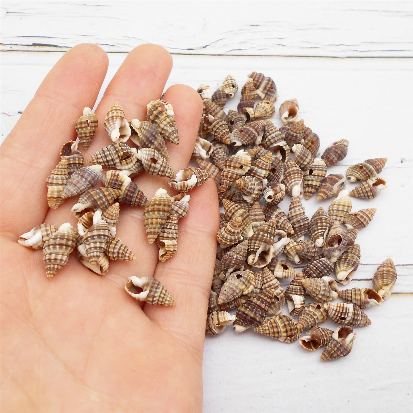 50g One Pack Marine Shell with Hole Natural Conch Shell Bead for DIY Jewelry Making, Fish Tank Aquarium Decor