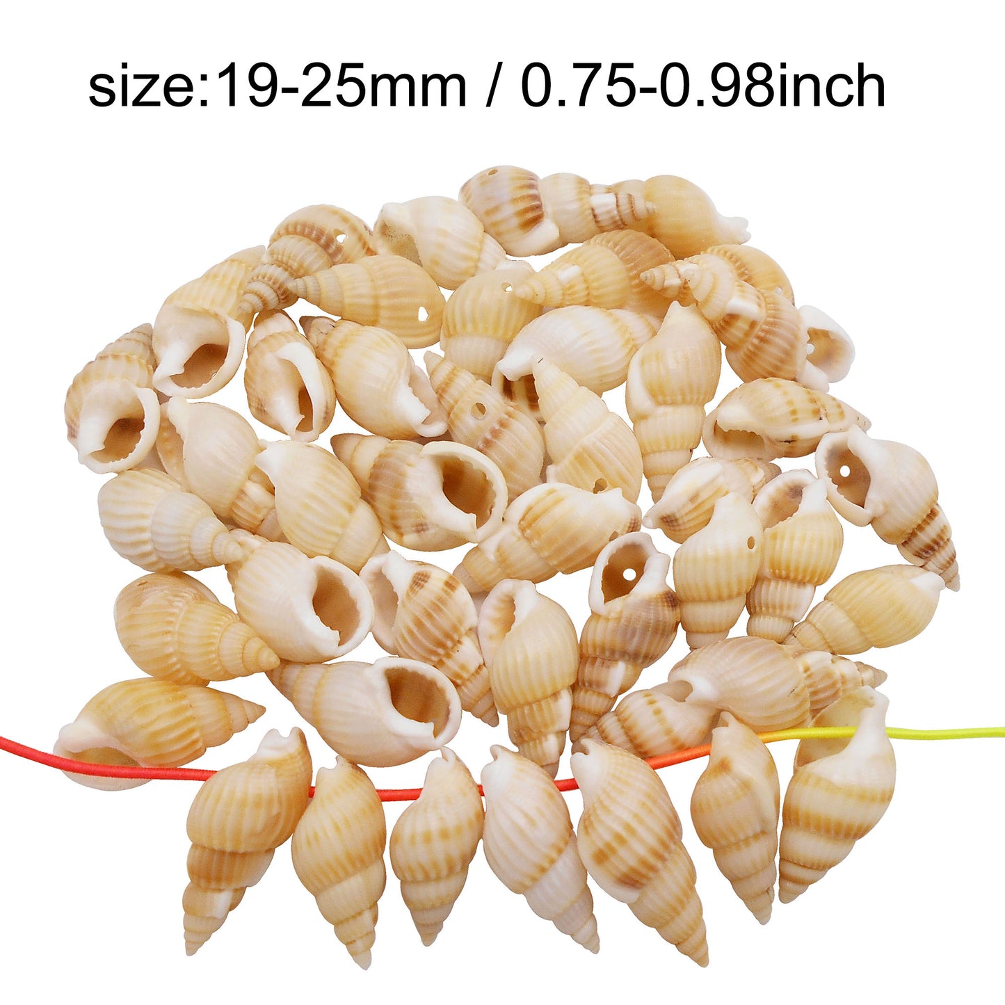 50g One Pack Marine Shell with Hole Natural Conch Shell Bead for DIY Jewelry Making, Fish Tank Aquarium Decor