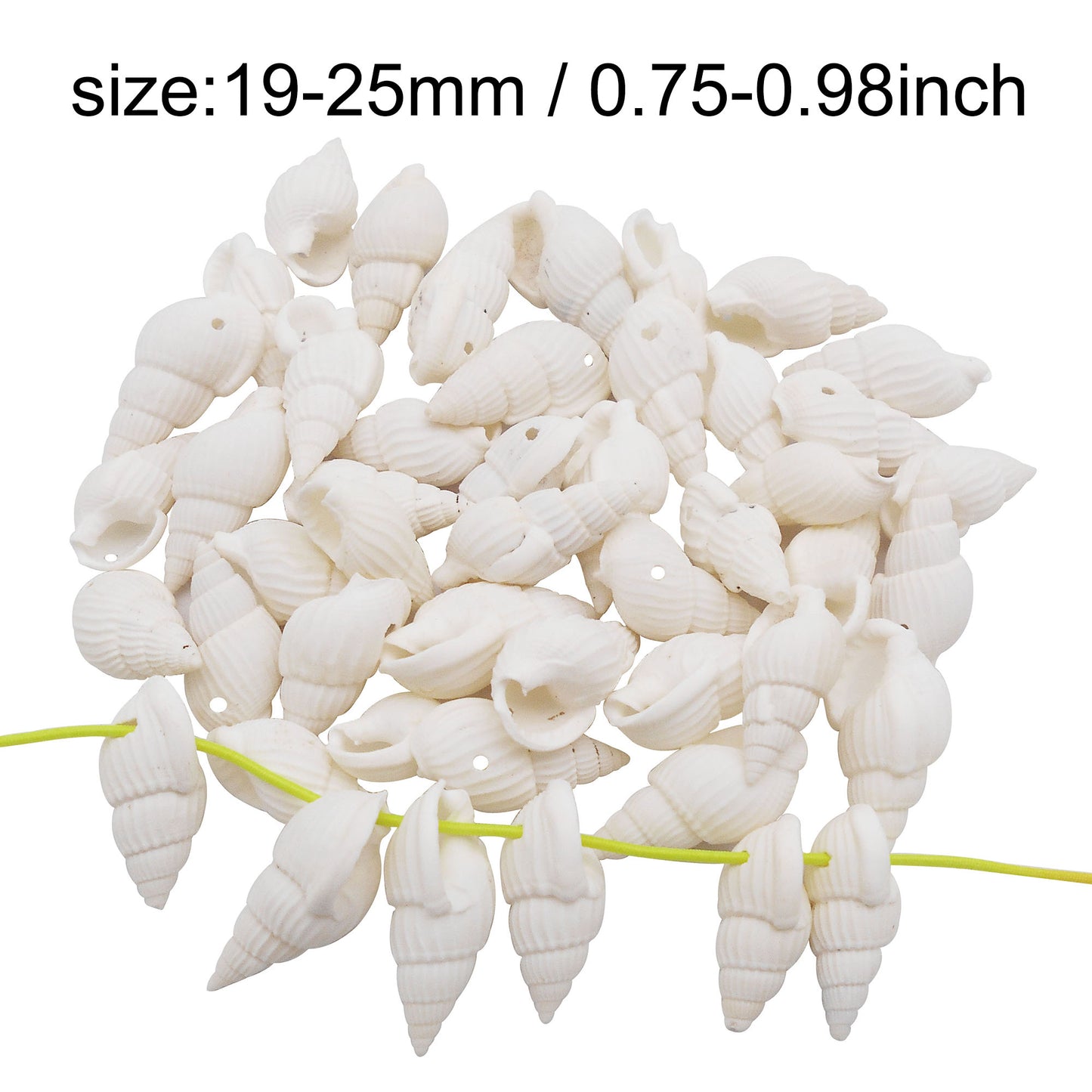 50g One Pack Marine Shell with Hole Natural Conch Shell Bead for DIY Jewelry Making, Fish Tank Aquarium Decor