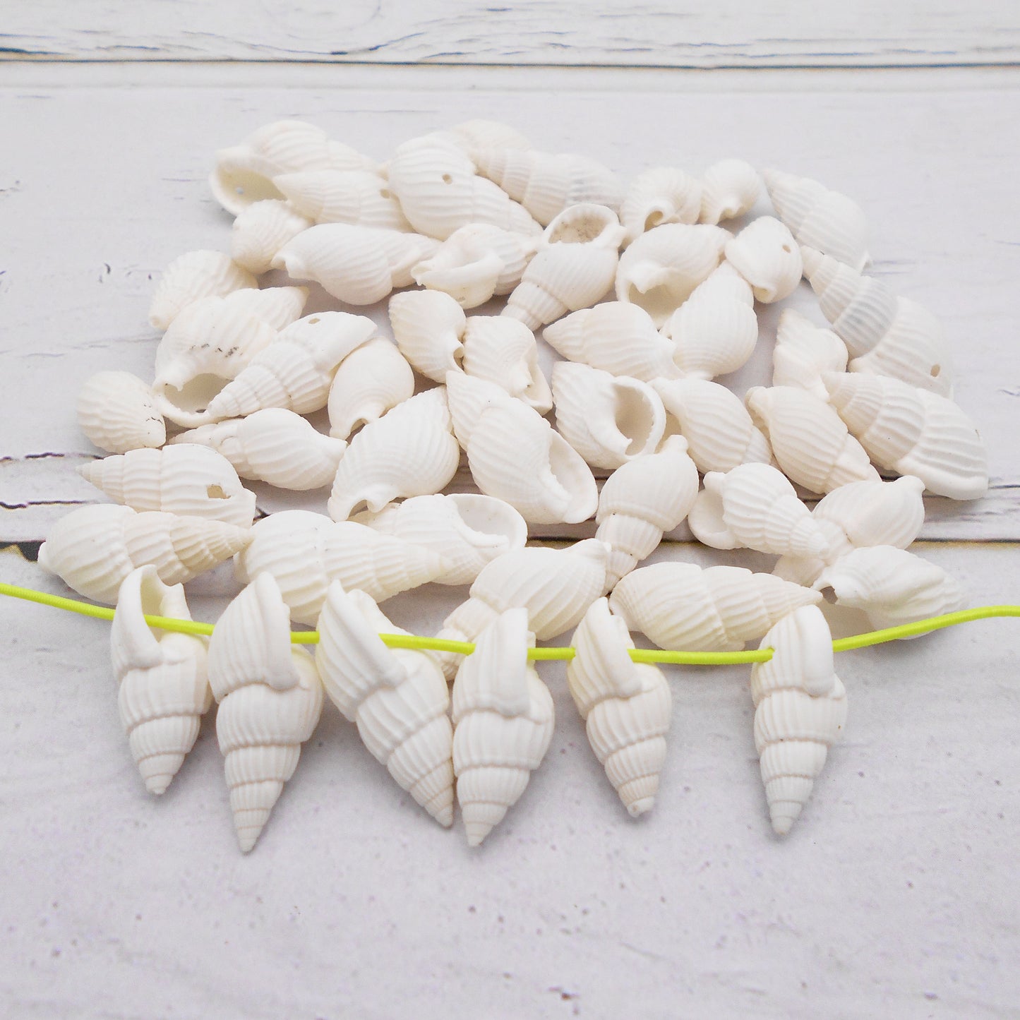 50g One Pack Marine Shell with Hole Natural Conch Shell Bead for DIY Jewelry Making, Fish Tank Aquarium Decor