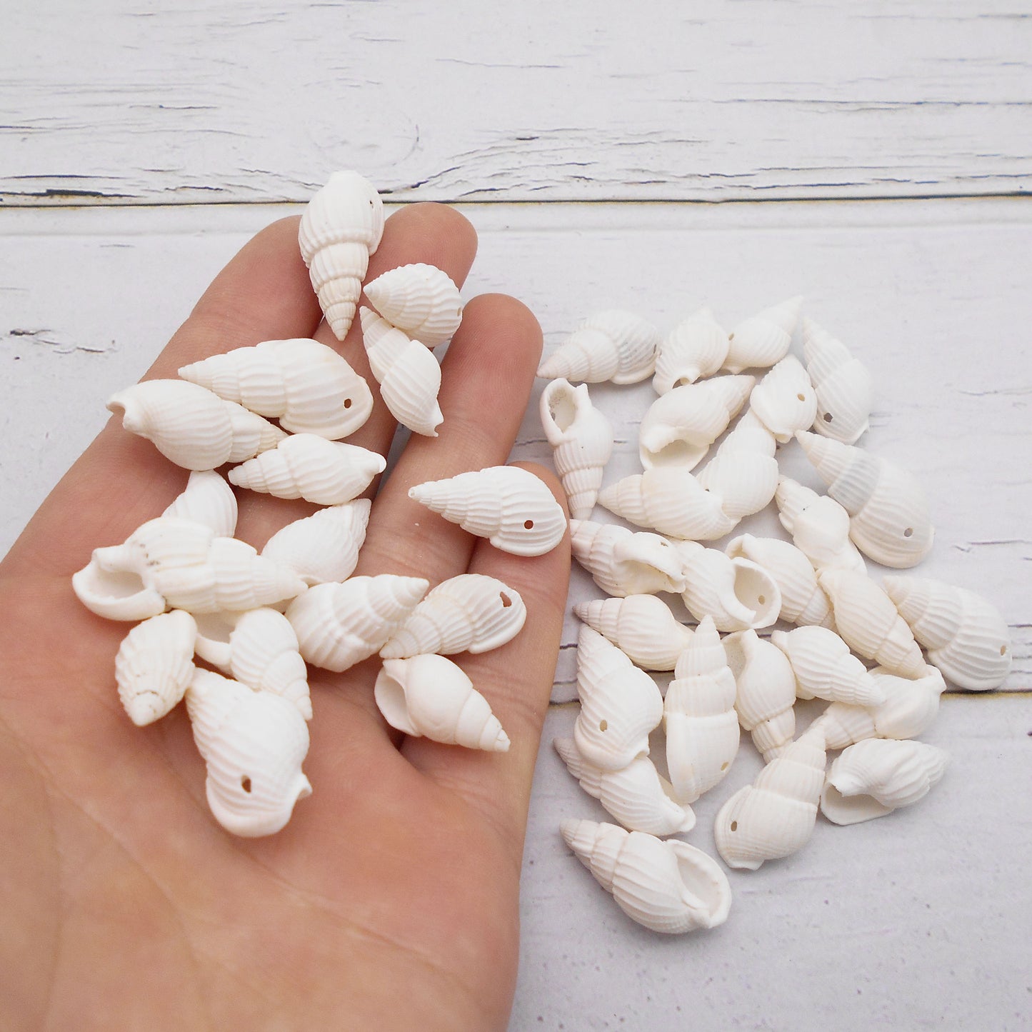 50g One Pack Marine Shell with Hole Natural Conch Shell Bead for DIY Jewelry Making, Fish Tank Aquarium Decor