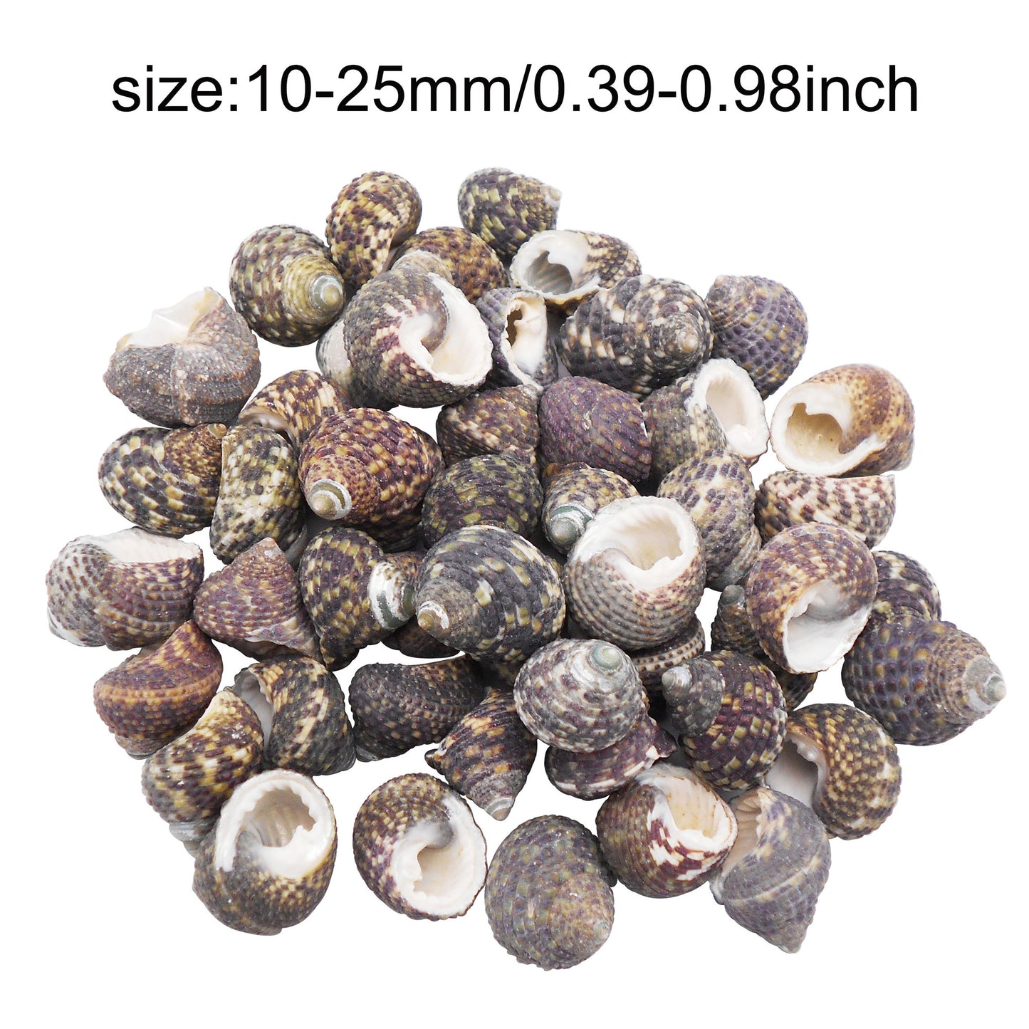 50g One Pack of Natural Conch Shell Beach Sea Shell Bead DIY Wish Bottle Decor Home Fish Tank Decor Accessory