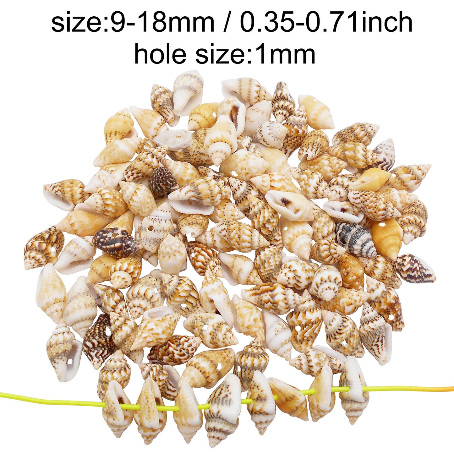 100g One Box of Drilled Hole Shell Conch Whelk for Craft DIY Jewelry Necklace Earring Bracelet Making Home Decoration Phone Frame Candle Making
