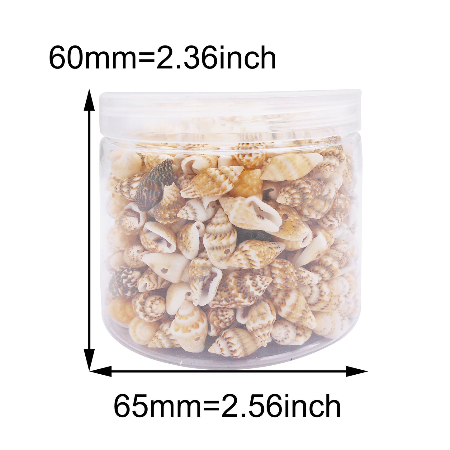 100g One Box of Drilled Hole Shell Conch Whelk for Craft DIY Jewelry Necklace Earring Bracelet Making Home Decoration Phone Frame Candle Making