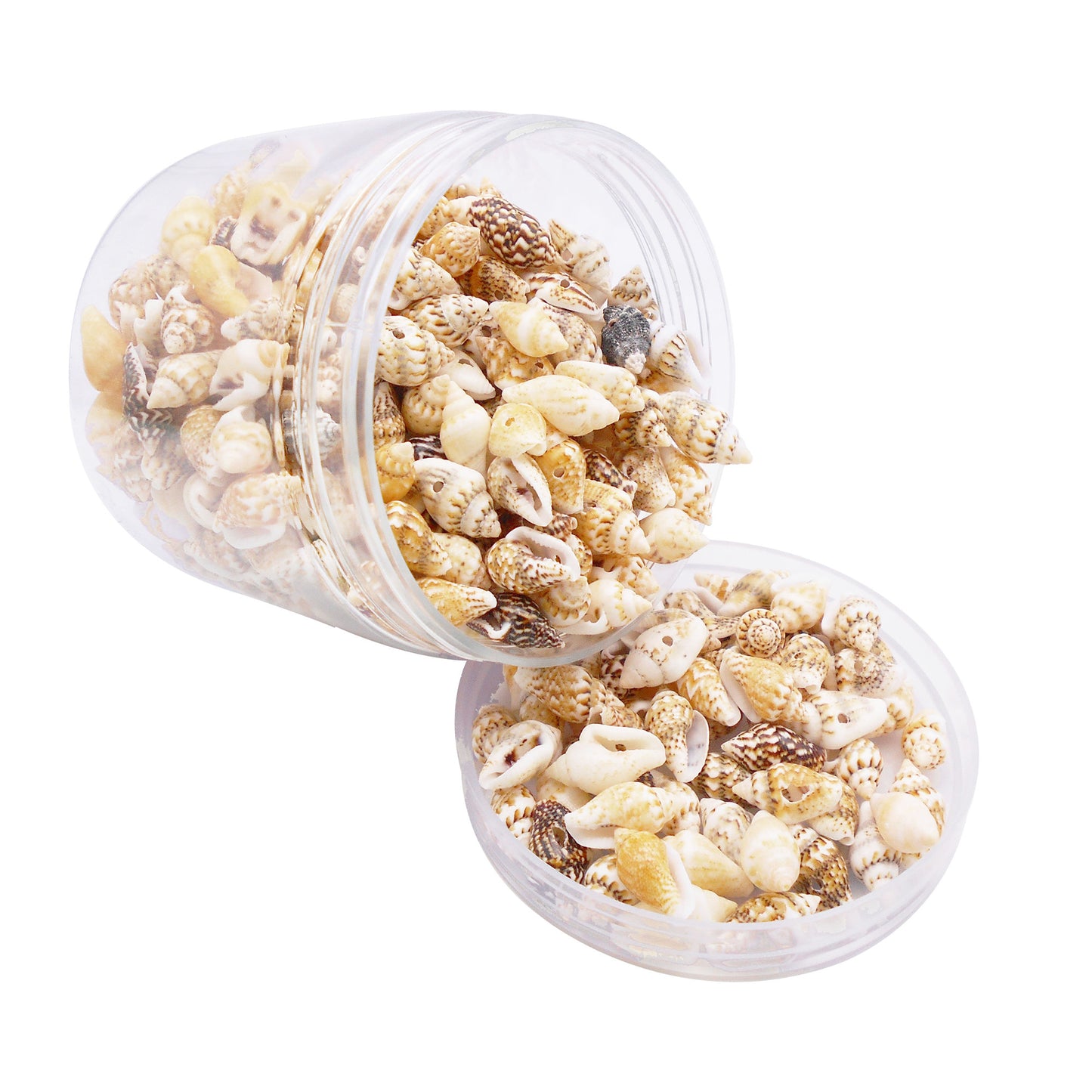 100g One Box of Drilled Hole Shell Conch Whelk for Craft DIY Jewelry Necklace Earring Bracelet Making Home Decoration Phone Frame Candle Making