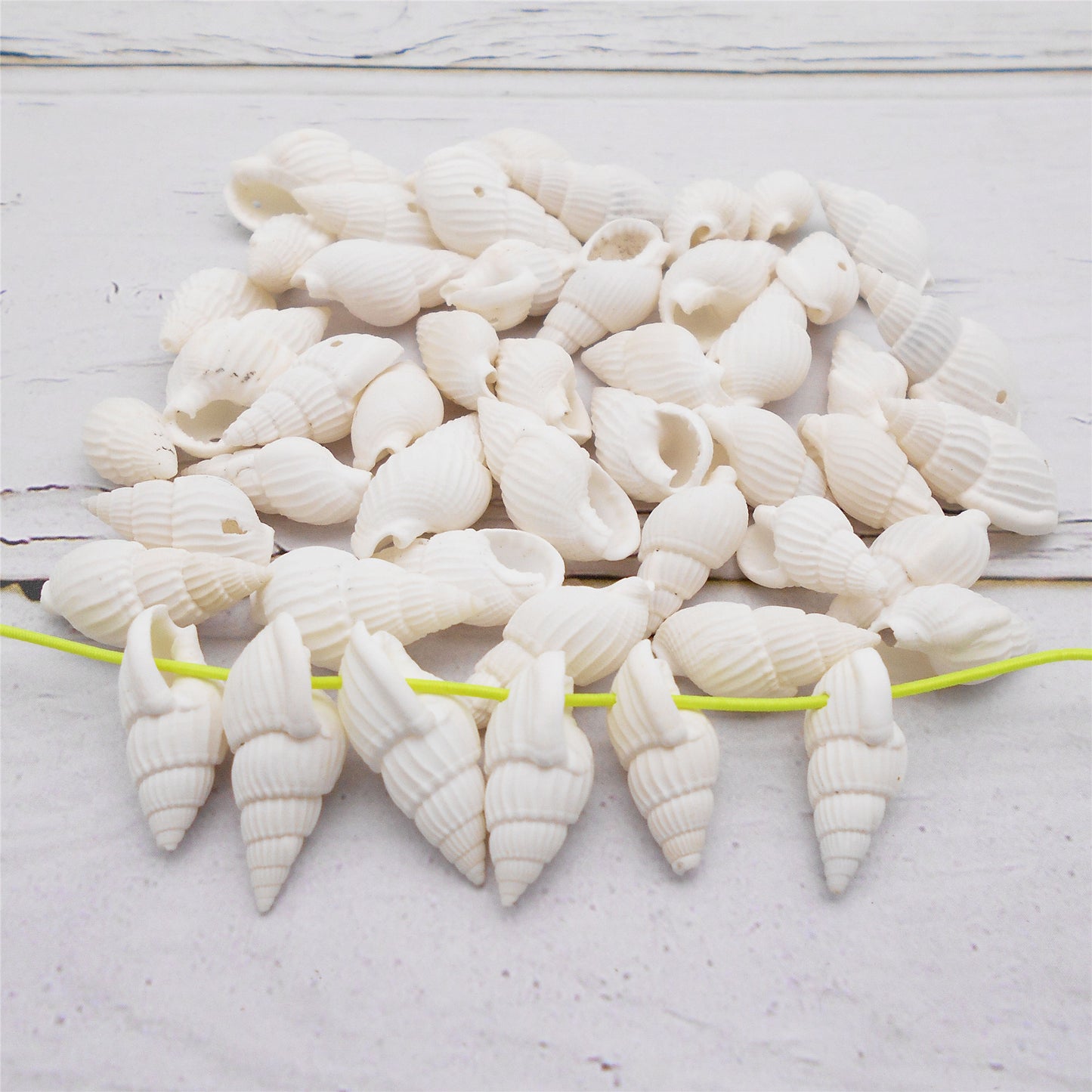 100g One Box of Drilled Hole Shell Conch Whelk for Craft DIY Jewelry Necklace Earring Bracelet Making Home Decoration Phone Frame Candle Making