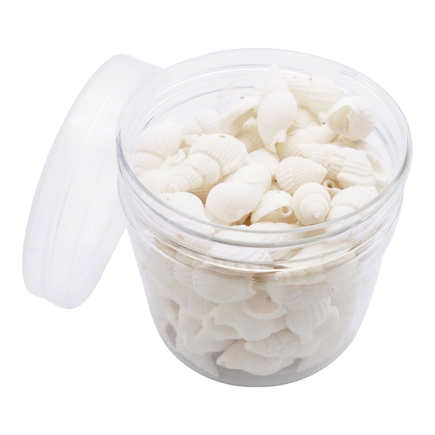 100g One Box of Drilled Hole Shell Conch Whelk for Craft DIY Jewelry Necklace Earring Bracelet Making Home Decoration Phone Frame Candle Making