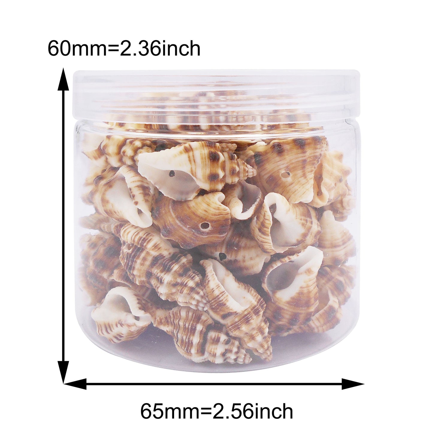 100g One Box of Drilled Hole Shell Conch Whelk for Craft DIY Jewelry Necklace Earring Bracelet Making Home Decoration Phone Frame Candle Making