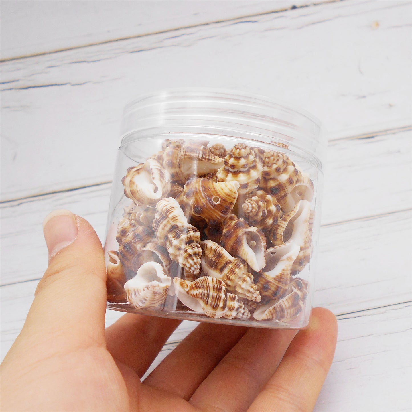 100g One Box of Drilled Hole Shell Conch Whelk for Craft DIY Jewelry Necklace Earring Bracelet Making Home Decoration Phone Frame Candle Making