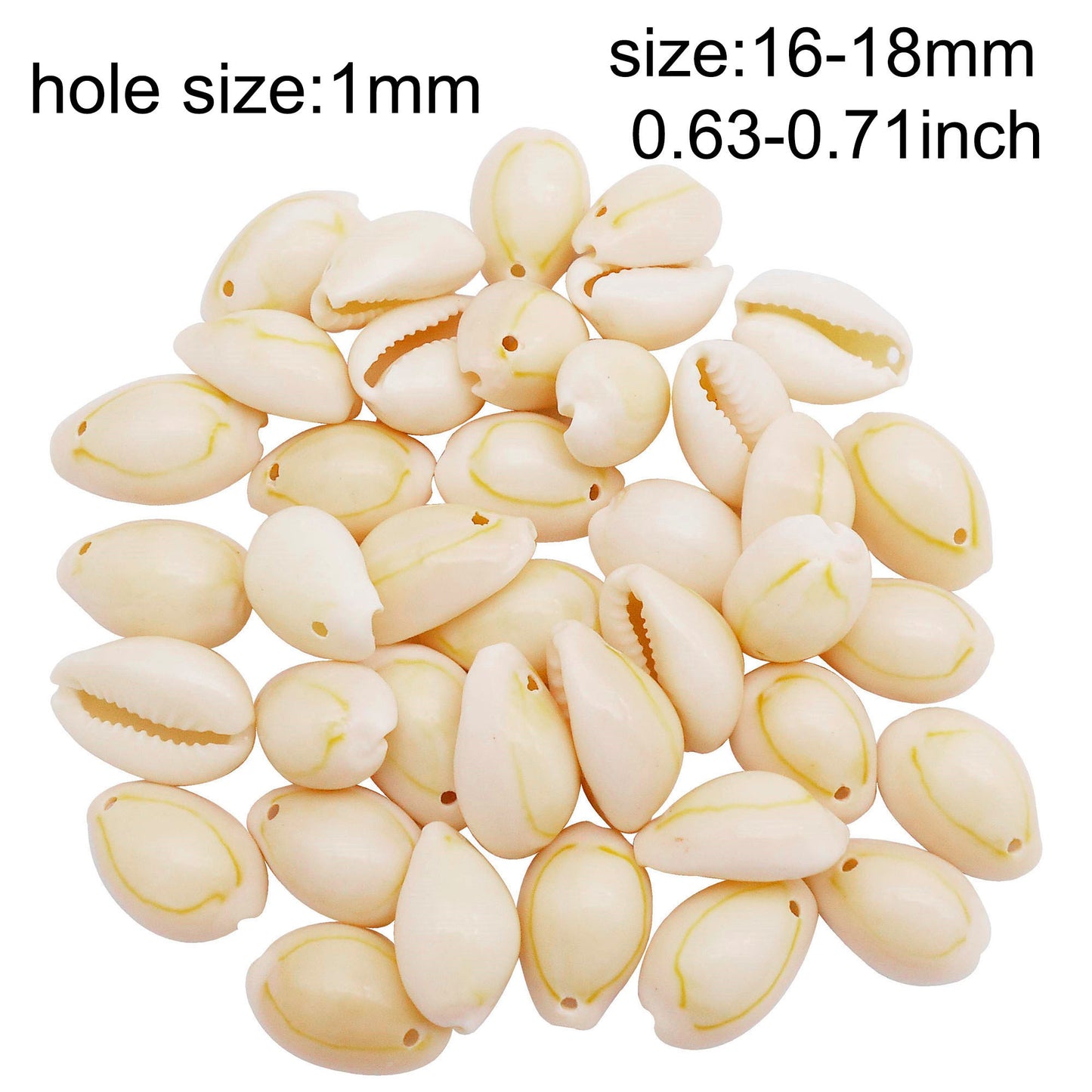 110g One Jar of Gold-ringer Cowrie with Hole, High-Gloss Sea Shell Natural Beach Shell for DIY Phone Case Phone Chain Jewelry Crafts Supplies, Beach Wedding Decor, Fish Tank & Aquarium Decoration