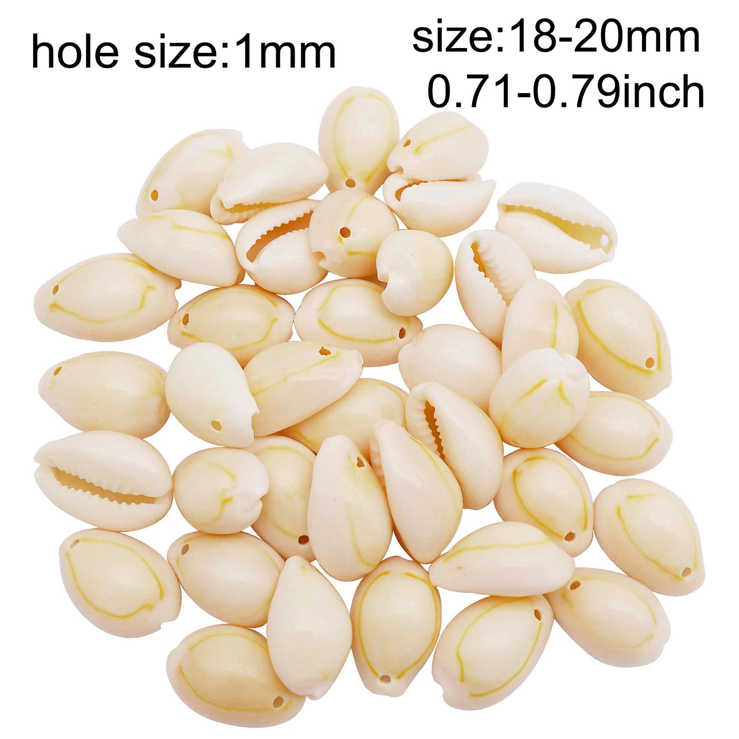 110g One Jar of Gold-ringer Cowrie with Hole, High-Gloss Sea Shell Natural Beach Shell for DIY Phone Case Phone Chain Jewelry Crafts Supplies, Beach Wedding Decor, Fish Tank & Aquarium Decoration