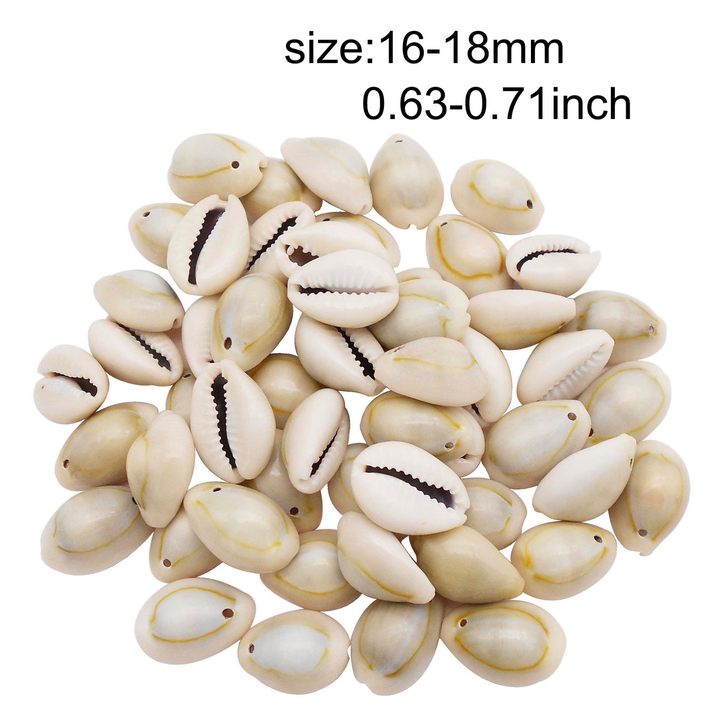 110g One Jar of Gold-ringer Cowrie with Hole, High-Gloss Sea Shell Natural Beach Shell for DIY Phone Case Phone Chain Jewelry Crafts Supplies, Beach Wedding Decor, Fish Tank & Aquarium Decoration