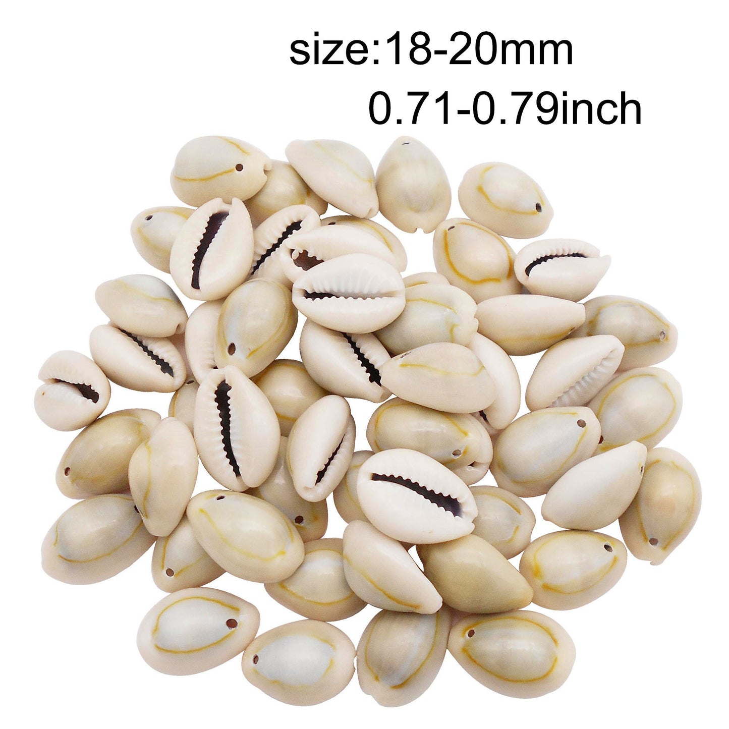 110g One Jar of Gold-ringer Cowrie with Hole, High-Gloss Sea Shell Natural Beach Shell for DIY Phone Case Phone Chain Jewelry Crafts Supplies, Beach Wedding Decor, Fish Tank & Aquarium Decoration