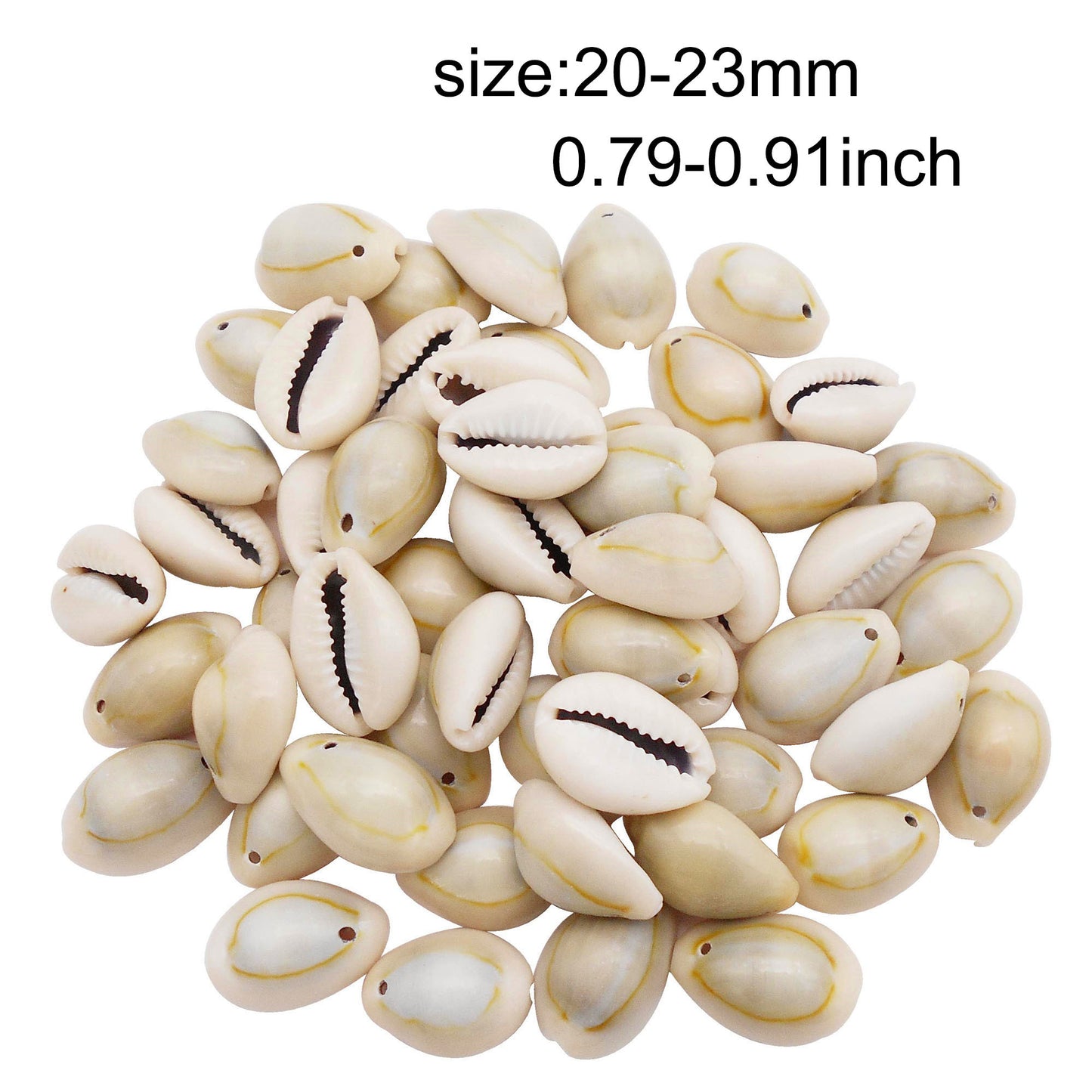 110g One Jar of Gold-ringer Cowrie with Hole, High-Gloss Sea Shell Natural Beach Shell for DIY Phone Case Phone Chain Jewelry Crafts Supplies, Beach Wedding Decor, Fish Tank & Aquarium Decoration