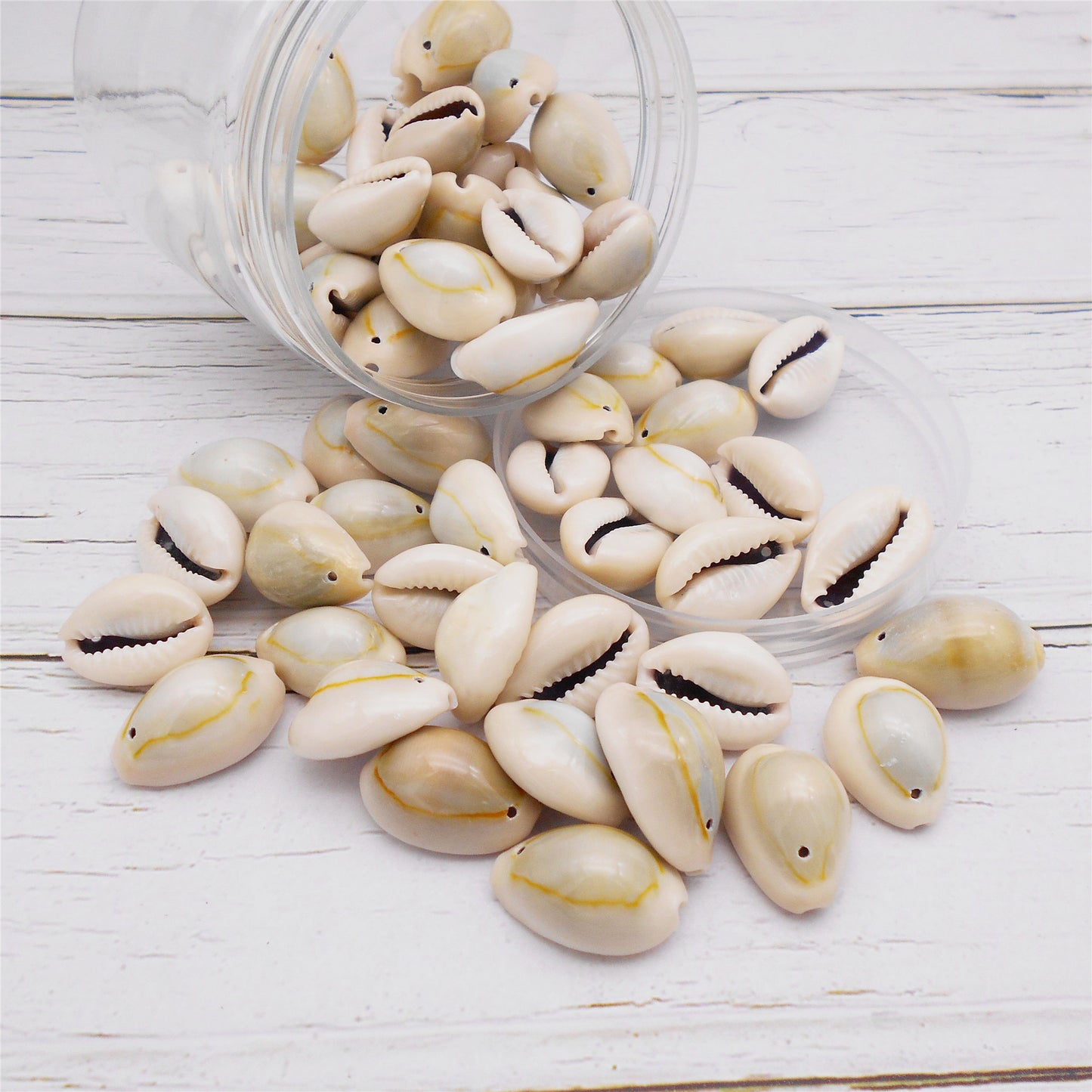 110g One Jar of Gold-ringer Cowrie with Hole, High-Gloss Sea Shell Natural Beach Shell for DIY Phone Case Phone Chain Jewelry Crafts Supplies, Beach Wedding Decor, Fish Tank & Aquarium Decoration