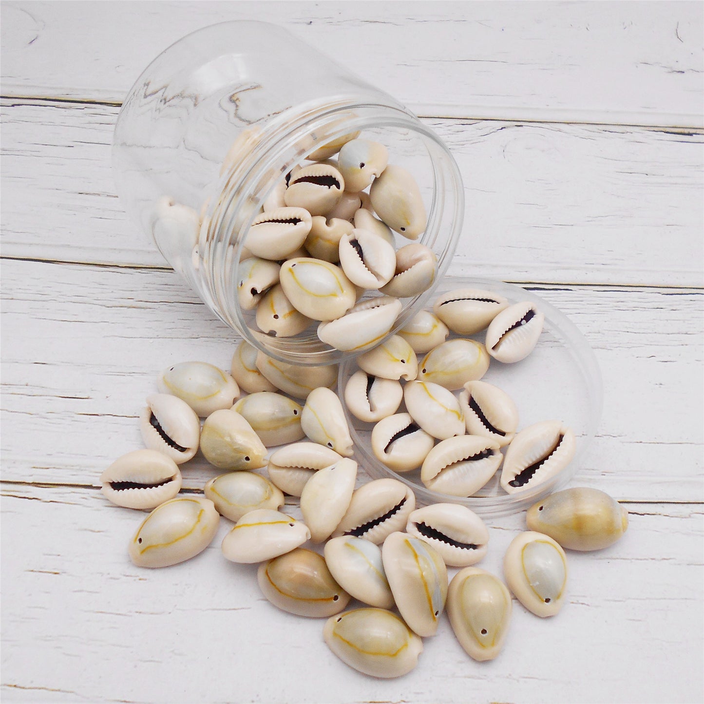 110g One Jar of Gold-ringer Cowrie with Hole, High-Gloss Sea Shell Natural Beach Shell for DIY Phone Case Phone Chain Jewelry Crafts Supplies, Beach Wedding Decor, Fish Tank & Aquarium Decoration