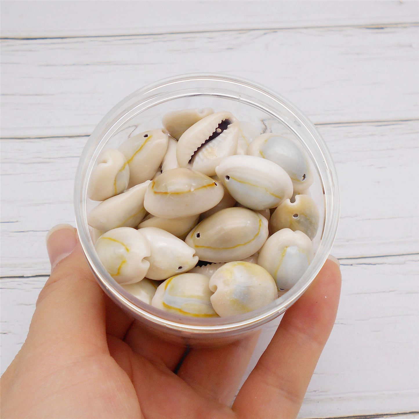 110g One Jar of Gold-ringer Cowrie with Hole, High-Gloss Sea Shell Natural Beach Shell for DIY Phone Case Phone Chain Jewelry Crafts Supplies, Beach Wedding Decor, Fish Tank & Aquarium Decoration