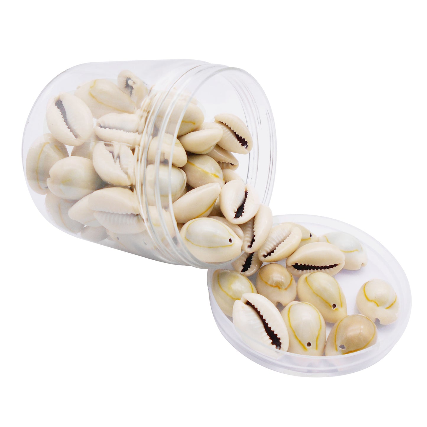 110g One Jar of Gold-ringer Cowrie with Hole, High-Gloss Sea Shell Natural Beach Shell for DIY Phone Case Phone Chain Jewelry Crafts Supplies, Beach Wedding Decor, Fish Tank & Aquarium Decoration