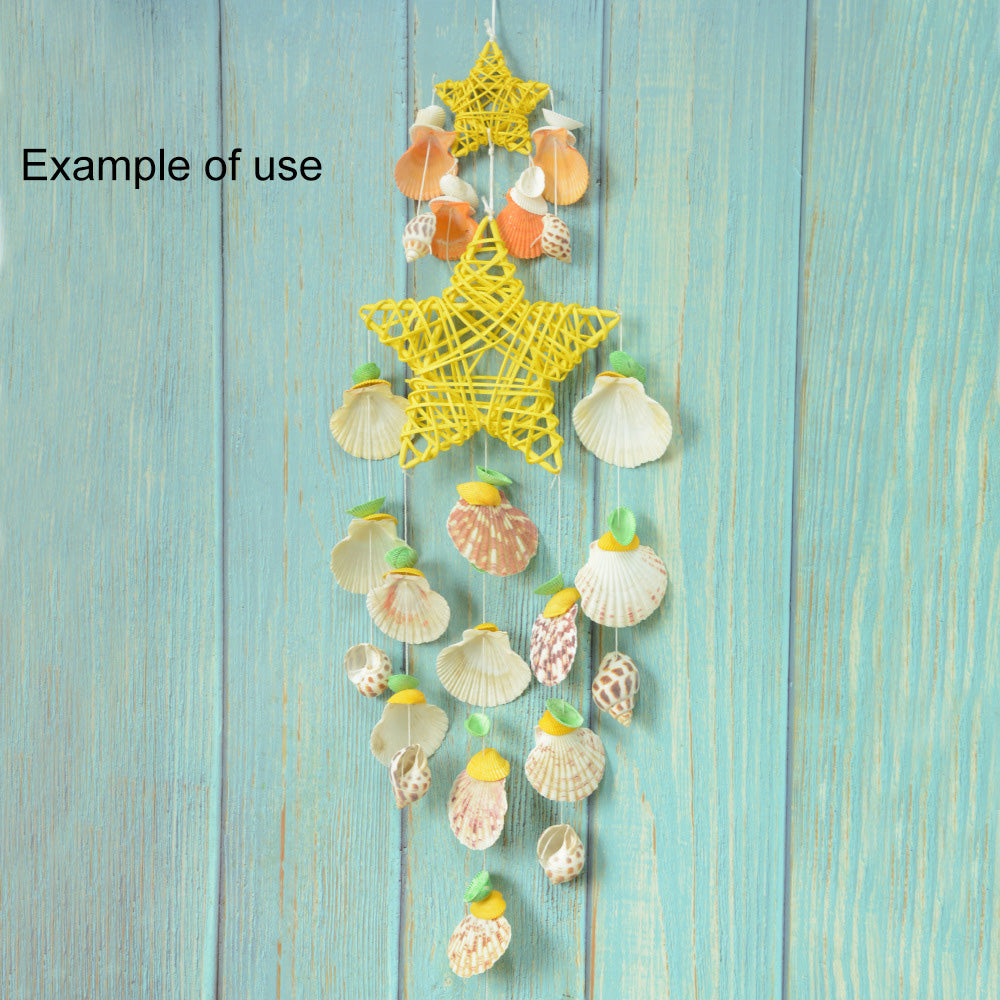 50g One Jar of Drilled Spotted Whelk Shell Sea Shell with Hole for Craft DIY Jewelry Necklace Earring Bracelet Making Home Decoration Phone Frame Candle Making 3-5cm