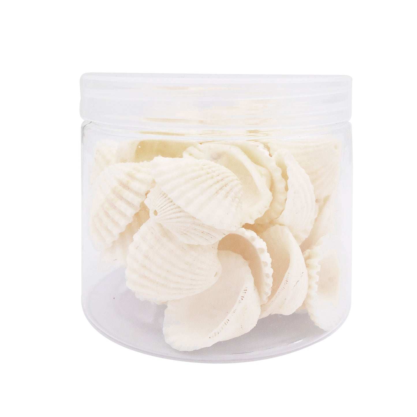 80g One Jar of Drilled Scallop Shell Sea Shell with Hole White for Craft DIY Jewelry Necklace Earring Bracelet Making Home Decoration Phone Frame Candle Making 2-2.5cm
