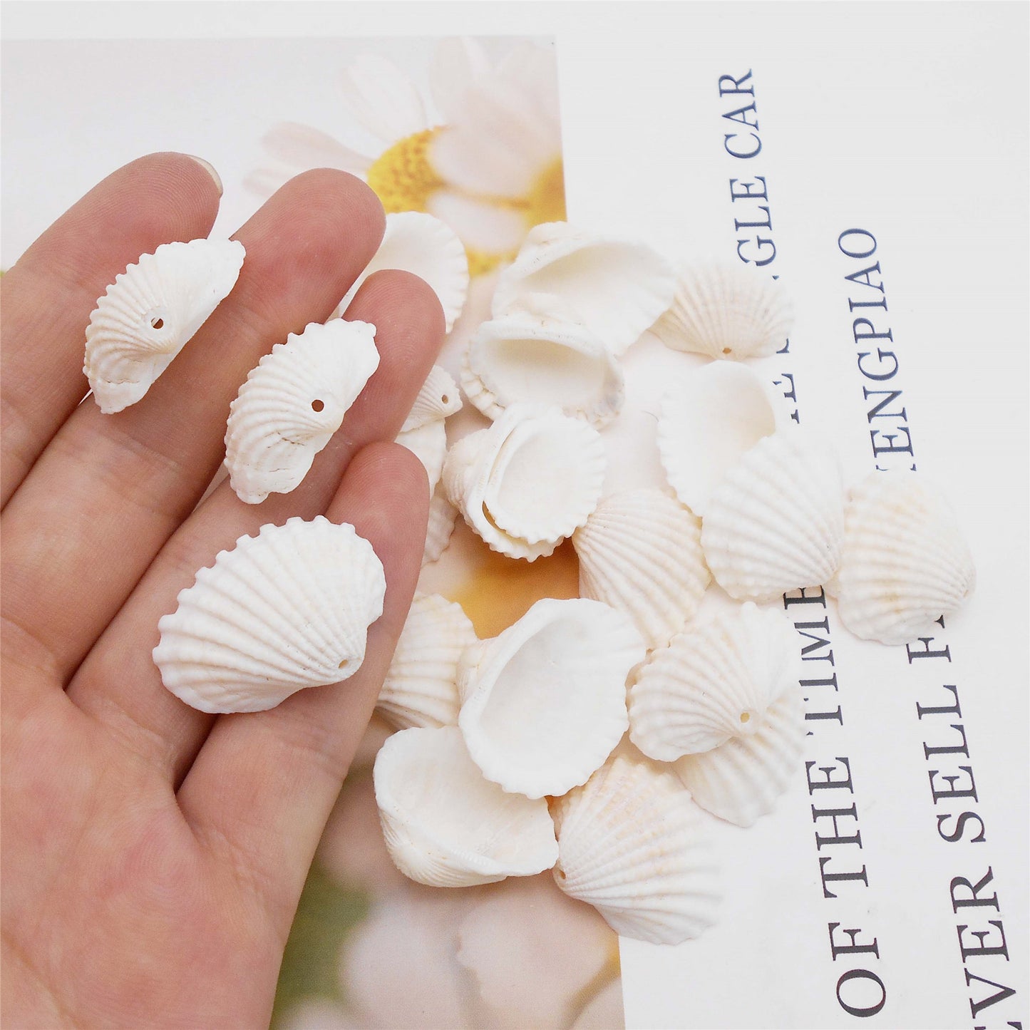 80g One Jar of Drilled Scallop Shell Sea Shell with Hole White for Craft DIY Jewelry Necklace Earring Bracelet Making Home Decoration Phone Frame Candle Making 2-2.5cm