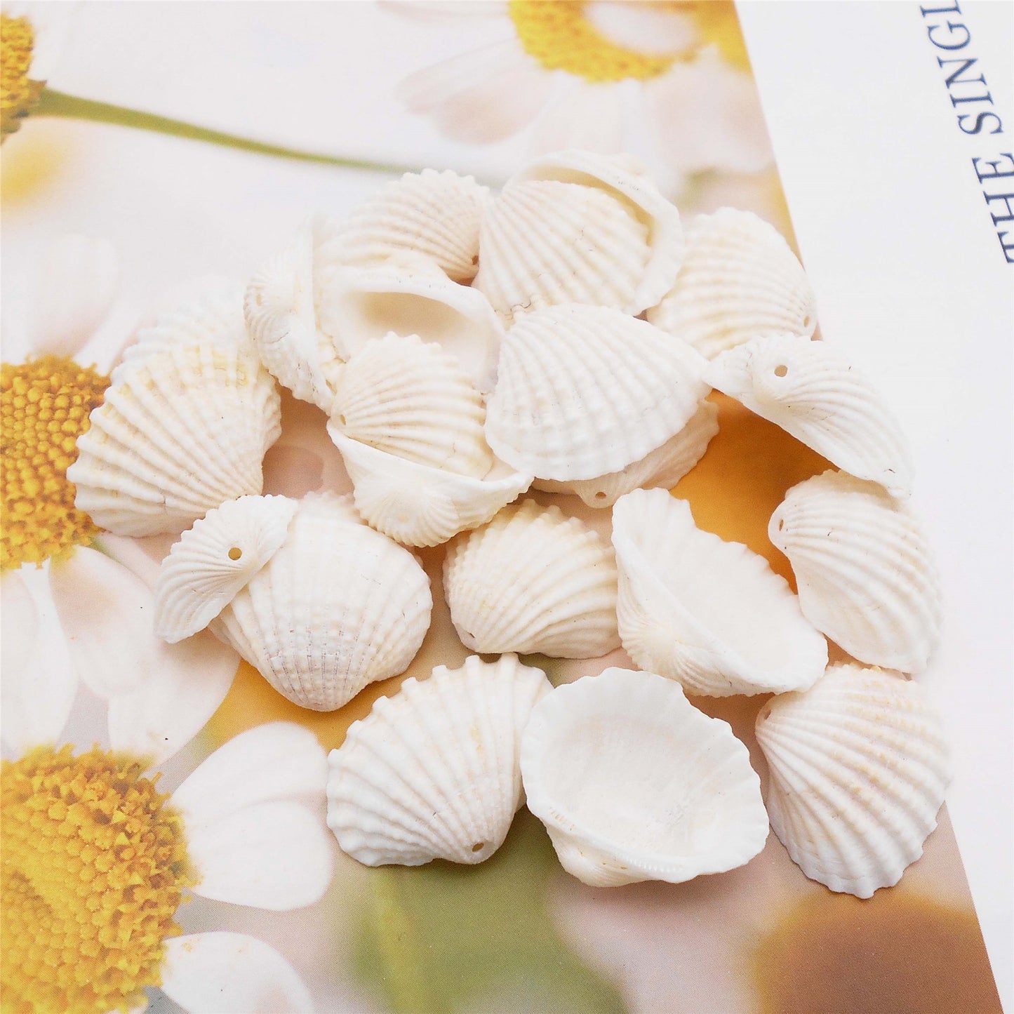 80g One Jar of Drilled Scallop Shell Sea Shell with Hole White for Craft DIY Jewelry Necklace Earring Bracelet Making Home Decoration Phone Frame Candle Making 2-2.5cm