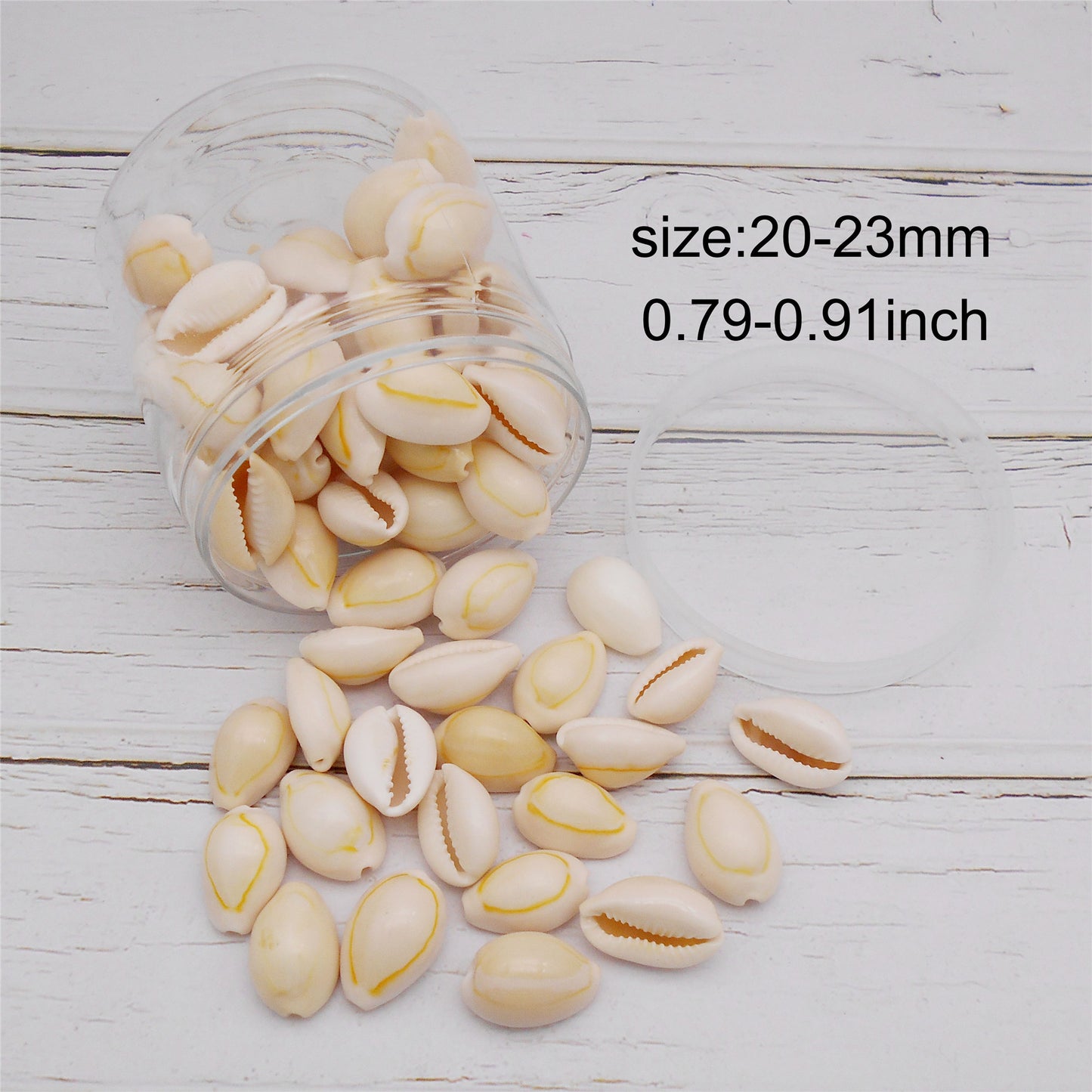 90g One Jar of Natural Shell Conch Beach Gold-ringer Cowrie Real Conch Shells for DIY Jewelry Making, Art Crafts Supplies, Home & Aquarium & Fish Tank Decor