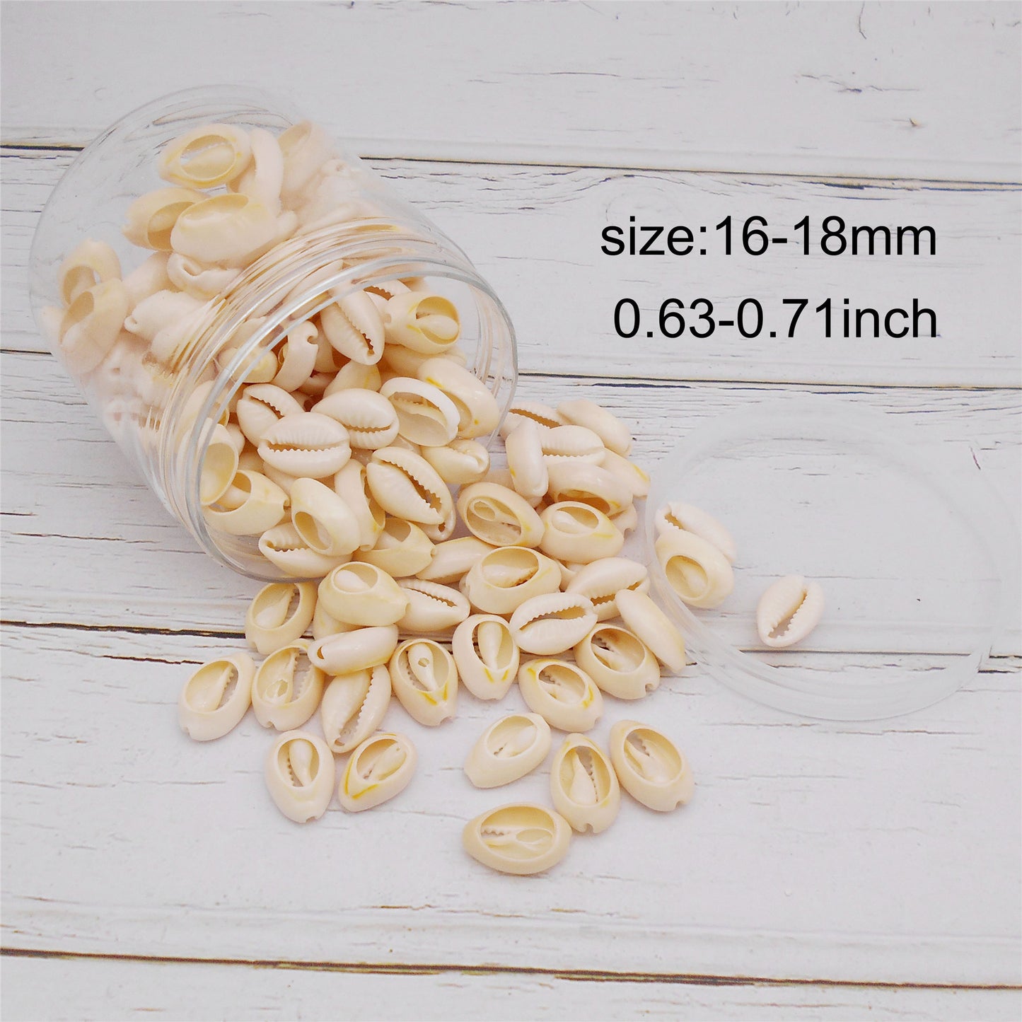 90g One Plastic Jar of Golden-ringer Cowrie, Slice Cowrie Natural Sea Shell Conch Beach Conch for DIY Crafts Supplies, Jewelry Making, Bag Purse Dangling Decor, Fish Tank Aquarium Decoration