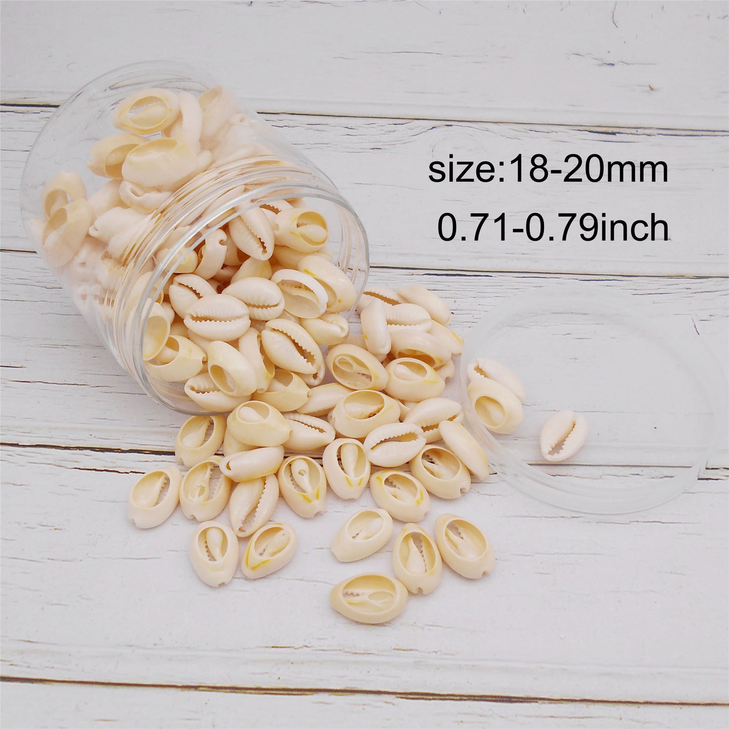 90g One Plastic Jar of Golden-ringer Cowrie, Slice Cowrie Natural Sea Shell Conch Beach Conch for DIY Crafts Supplies, Jewelry Making, Bag Purse Dangling Decor, Fish Tank Aquarium Decoration