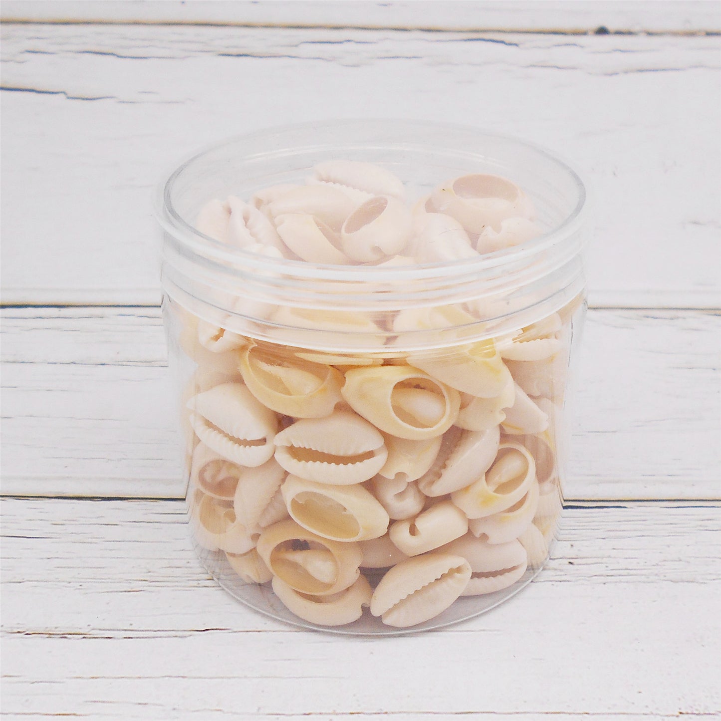 90g One Plastic Jar of Golden-ringer Cowrie, Slice Cowrie Natural Sea Shell Conch Beach Conch for DIY Crafts Supplies, Jewelry Making, Bag Purse Dangling Decor, Fish Tank Aquarium Decoration