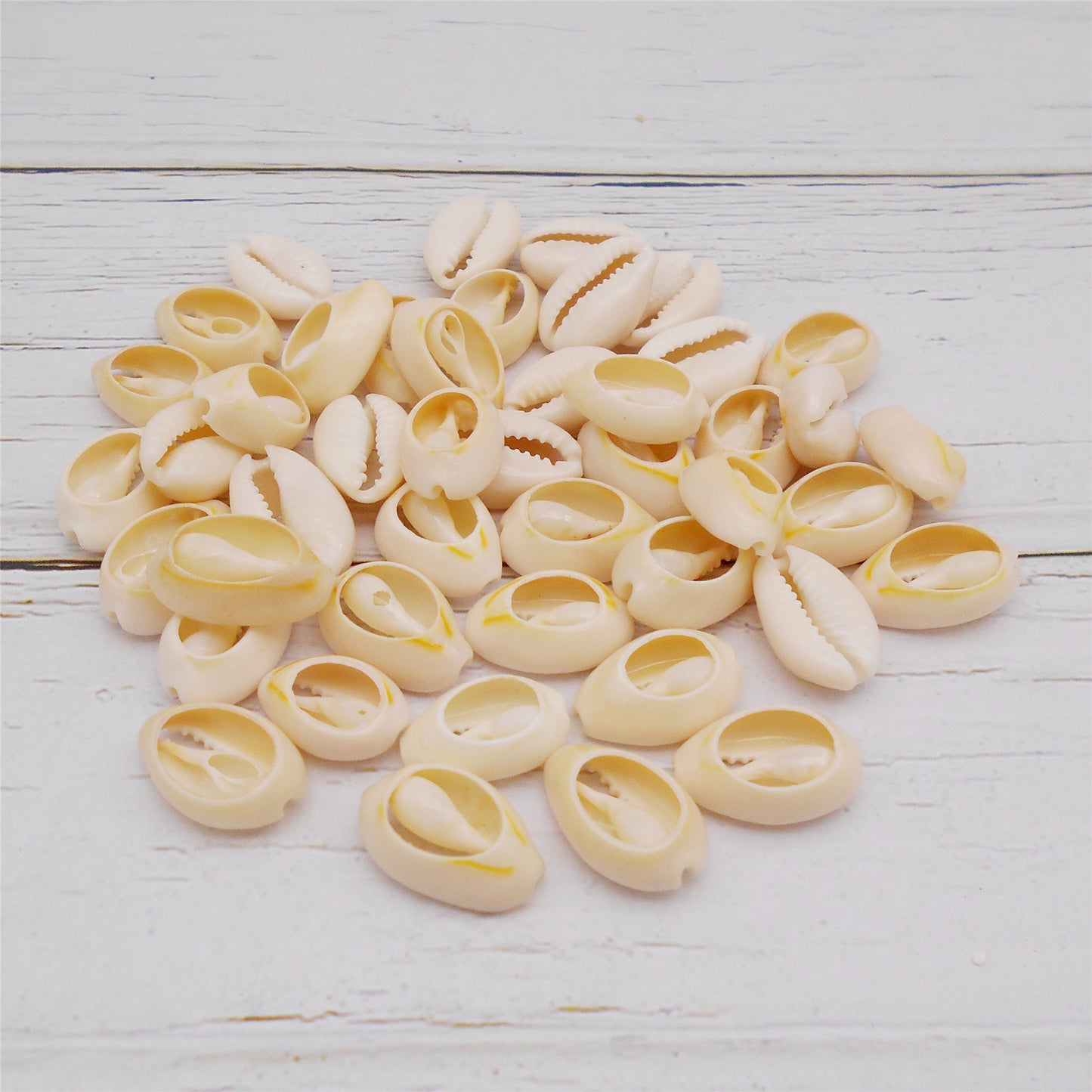 90g One Plastic Jar of Golden-ringer Cowrie, Slice Cowrie Natural Sea Shell Conch Beach Conch for DIY Crafts Supplies, Jewelry Making, Bag Purse Dangling Decor, Fish Tank Aquarium Decoration