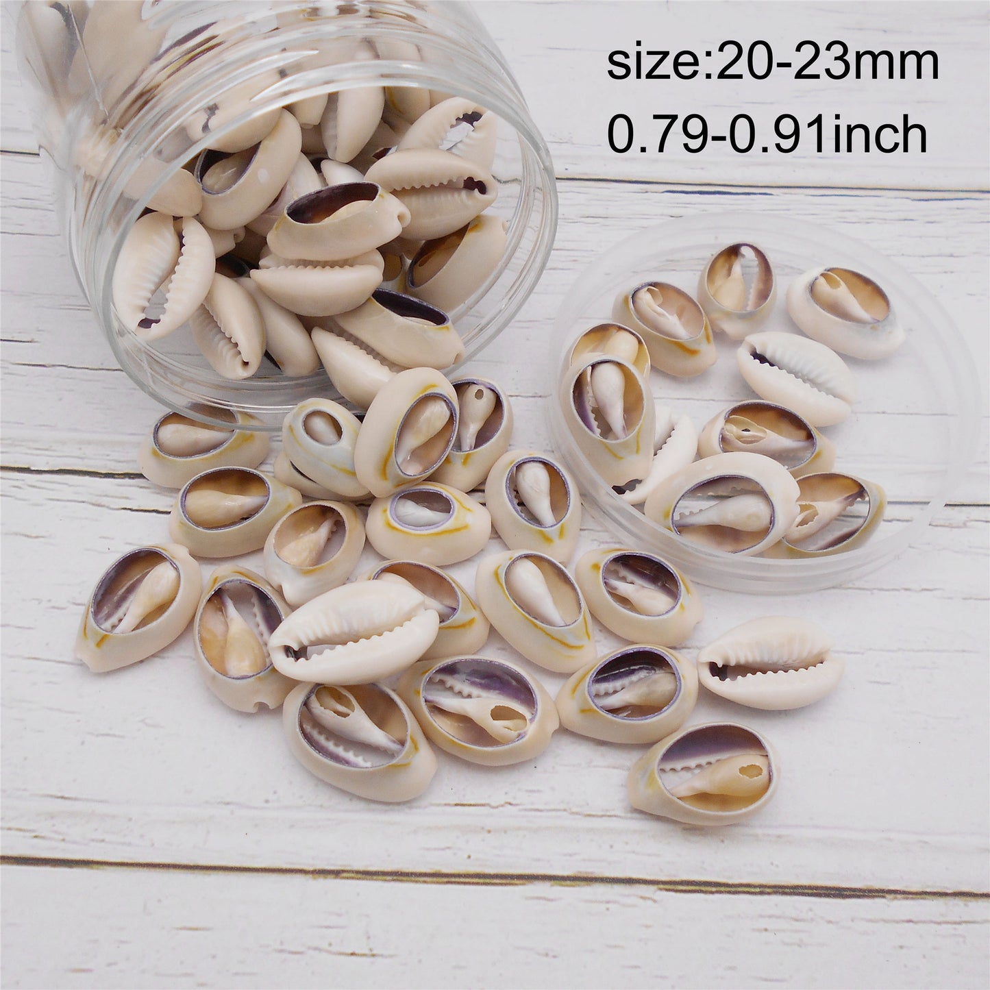 90g One Jar of Sliced Cowrie Shell Sea Shell Cut Grey Beige for Craft DIY Jewelry Necklace Earring Bracelet Making Home Decoration Phone Frame Candle Making Large Size