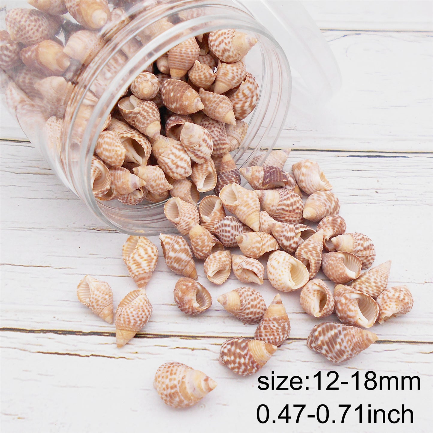90g One Jar of Beige Whelk Shell Sea Shell for Craft DIY Jewelry Necklace Earring Bracelet Making Home Decoration Phone Frame Candle Making