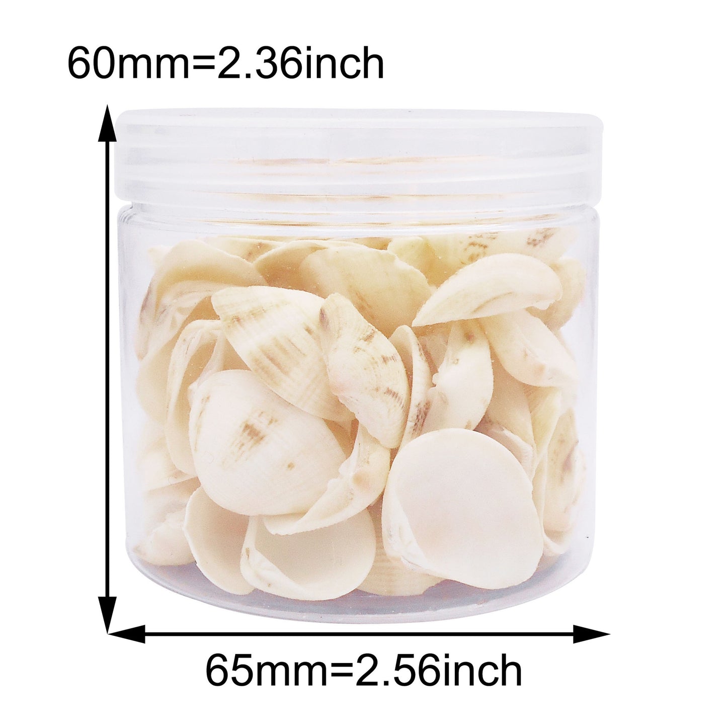 80g One Jar of White Whelk Shell Sea Shell for Craft DIY Jewelry Necklace Earring Bracelet Making Home Decoration Phone Frame Candle Making