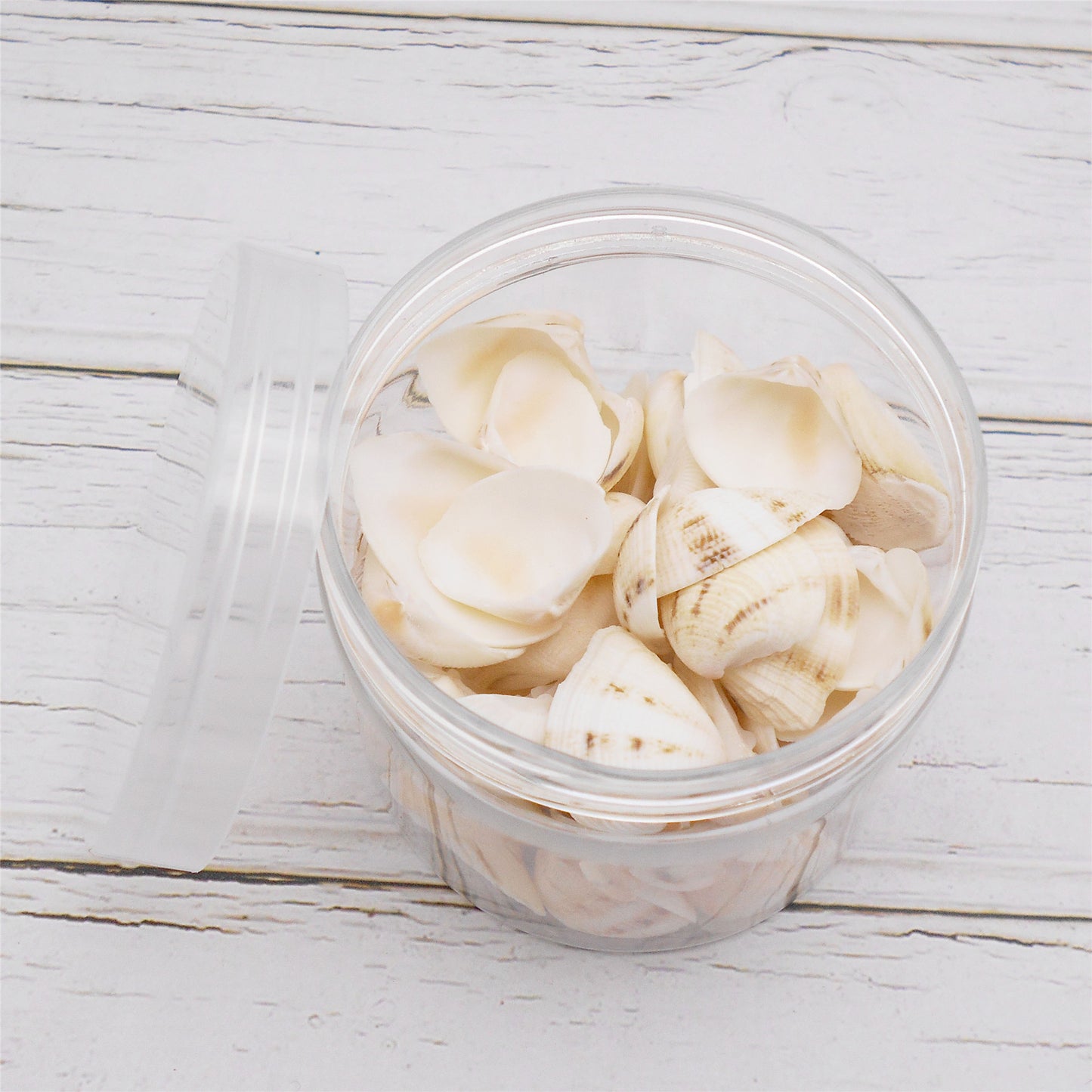80g One Jar of White Whelk Shell Sea Shell for Craft DIY Jewelry Necklace Earring Bracelet Making Home Decoration Phone Frame Candle Making