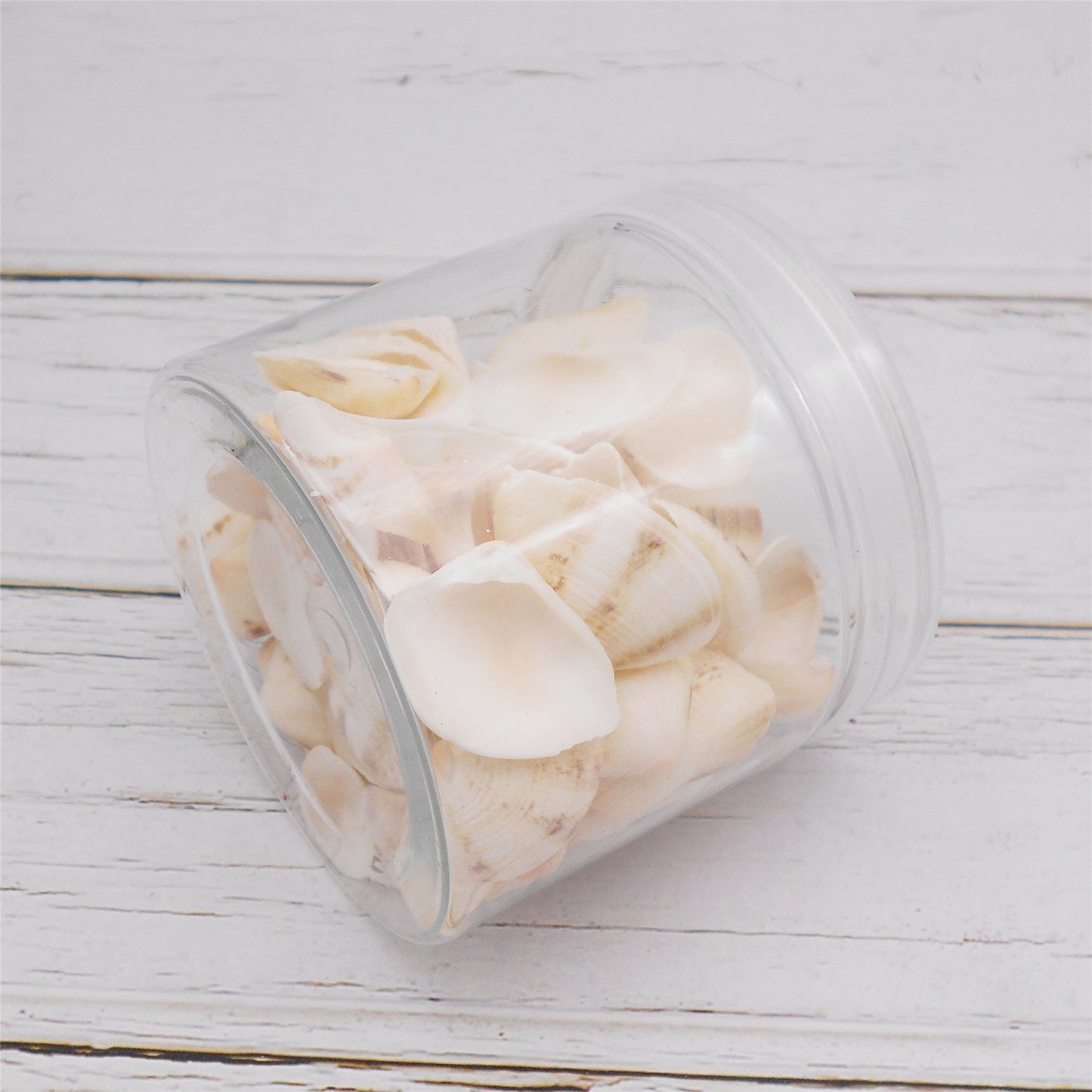 80g One Jar of White Whelk Shell Sea Shell for Craft DIY Jewelry Necklace Earring Bracelet Making Home Decoration Phone Frame Candle Making
