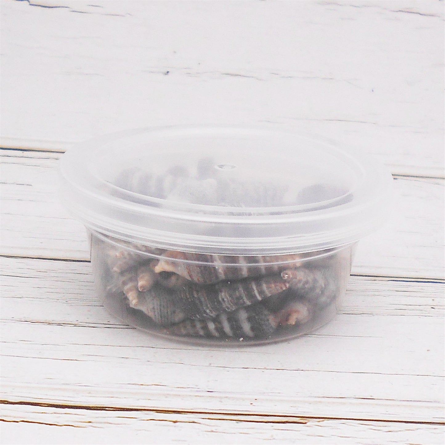 30g One Box of Black Snail Shell Natural Conch Shell Beach Conch Shells for DIY Jewelry Making Art Crafts Decor Fish Tank Aquarium Decoration