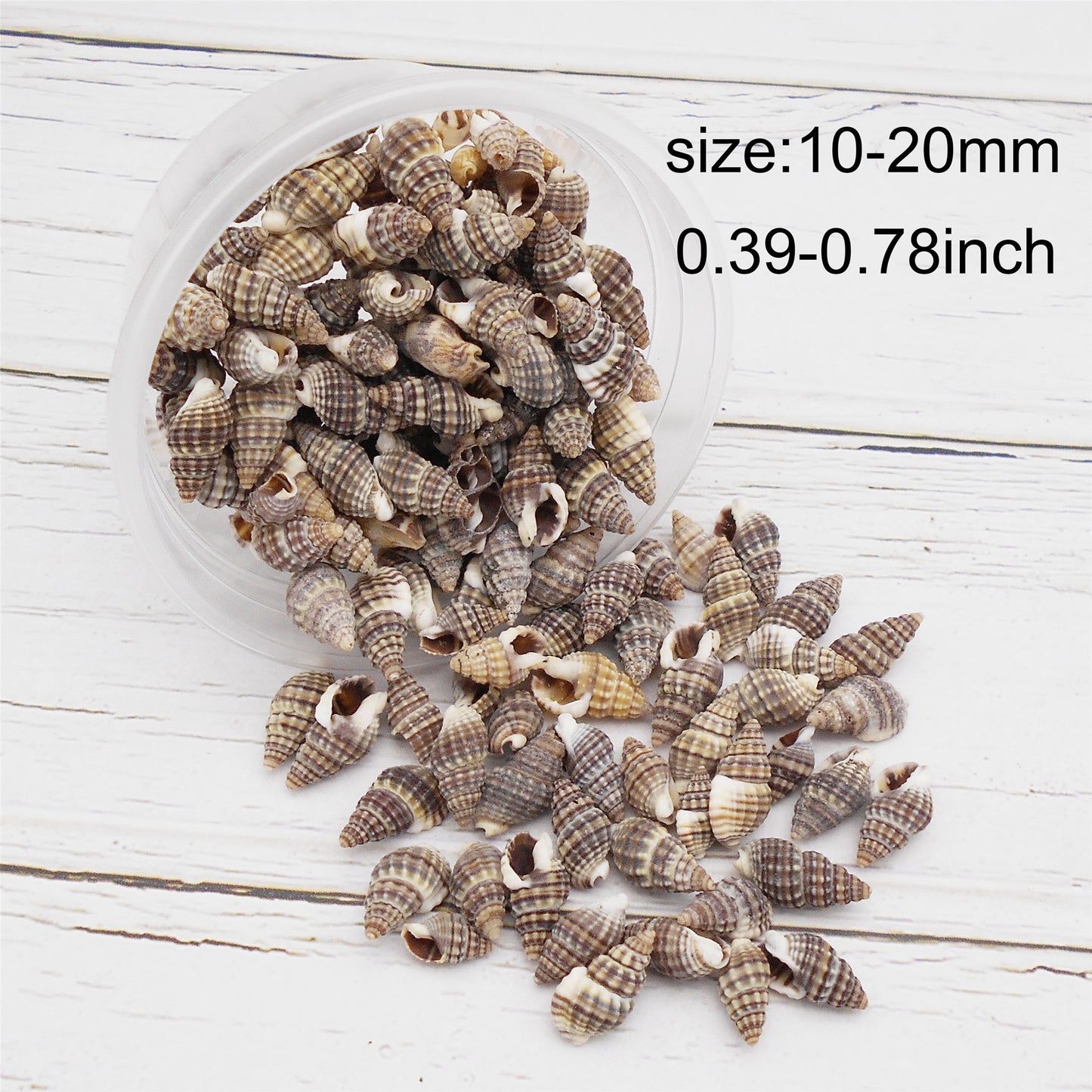 30g One Box of Natural Spiral Shell Beach Conch Shell Tiny See Shells for DIY Jewelry Making, Art Crafts Supplies, Aquarium Home Fish Tank Decor