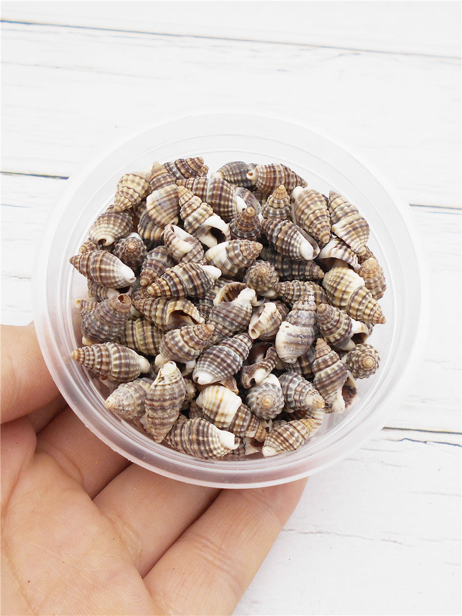 30g One Box of Natural Spiral Shell Beach Conch Shell Tiny See Shells for DIY Jewelry Making, Art Crafts Supplies, Aquarium Home Fish Tank Decor