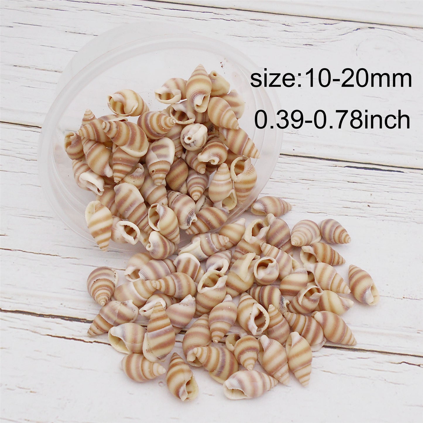 Striped Marine Shells Tiny Spiral Conch Shells - 30g Box of Natural Seashells for DIY Crafts, Fish Tank Decor, Beach Wedding, Home Decor