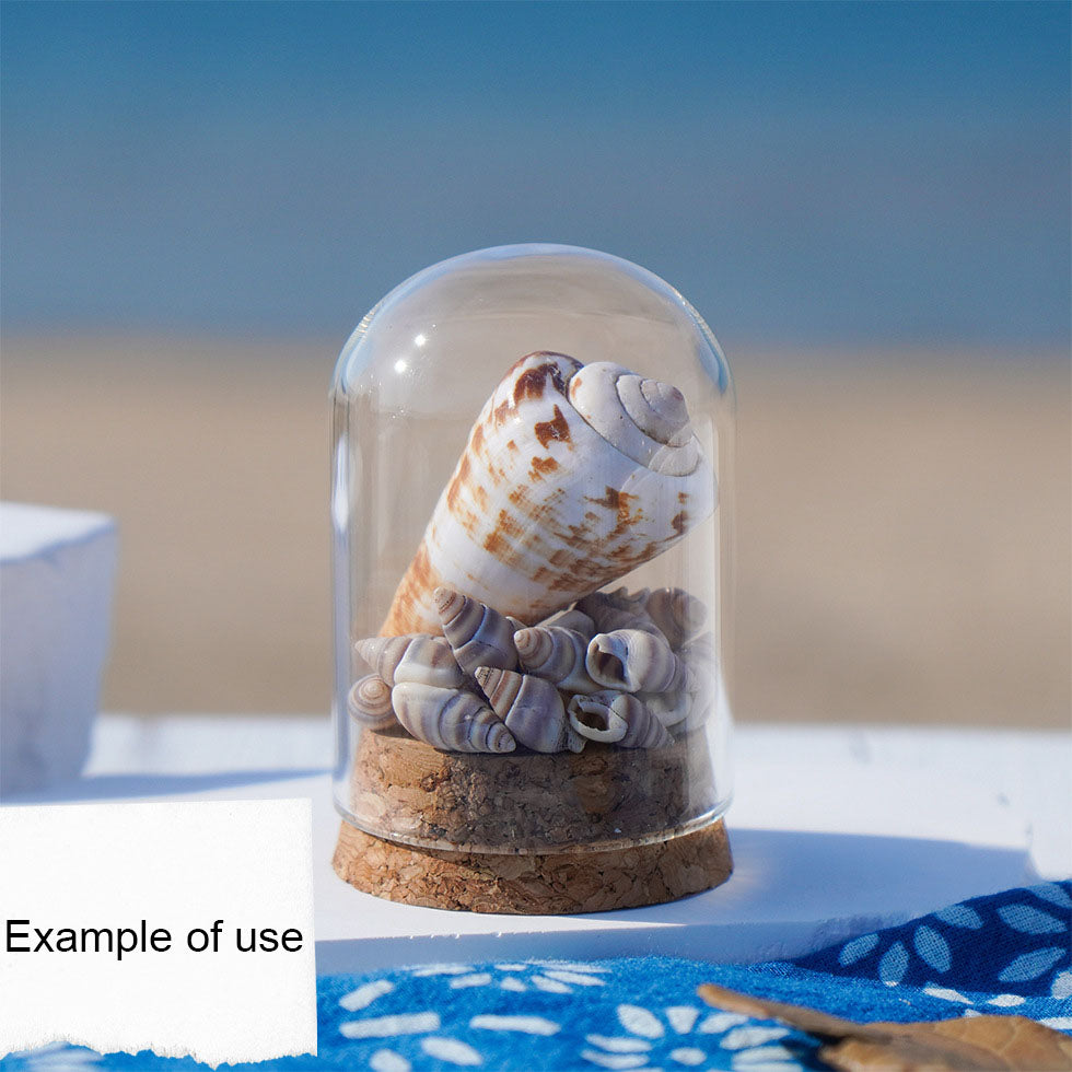 Striped Marine Shells Tiny Spiral Conch Shells - 30g Box of Natural Seashells for DIY Crafts, Fish Tank Decor, Beach Wedding, Home Decor