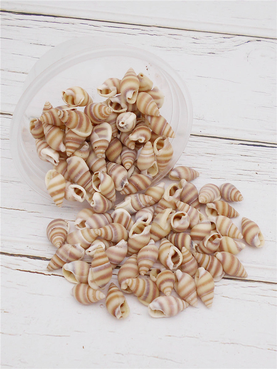 Striped Marine Shells Tiny Spiral Conch Shells - 30g Box of Natural Seashells for DIY Crafts, Fish Tank Decor, Beach Wedding, Home Decor