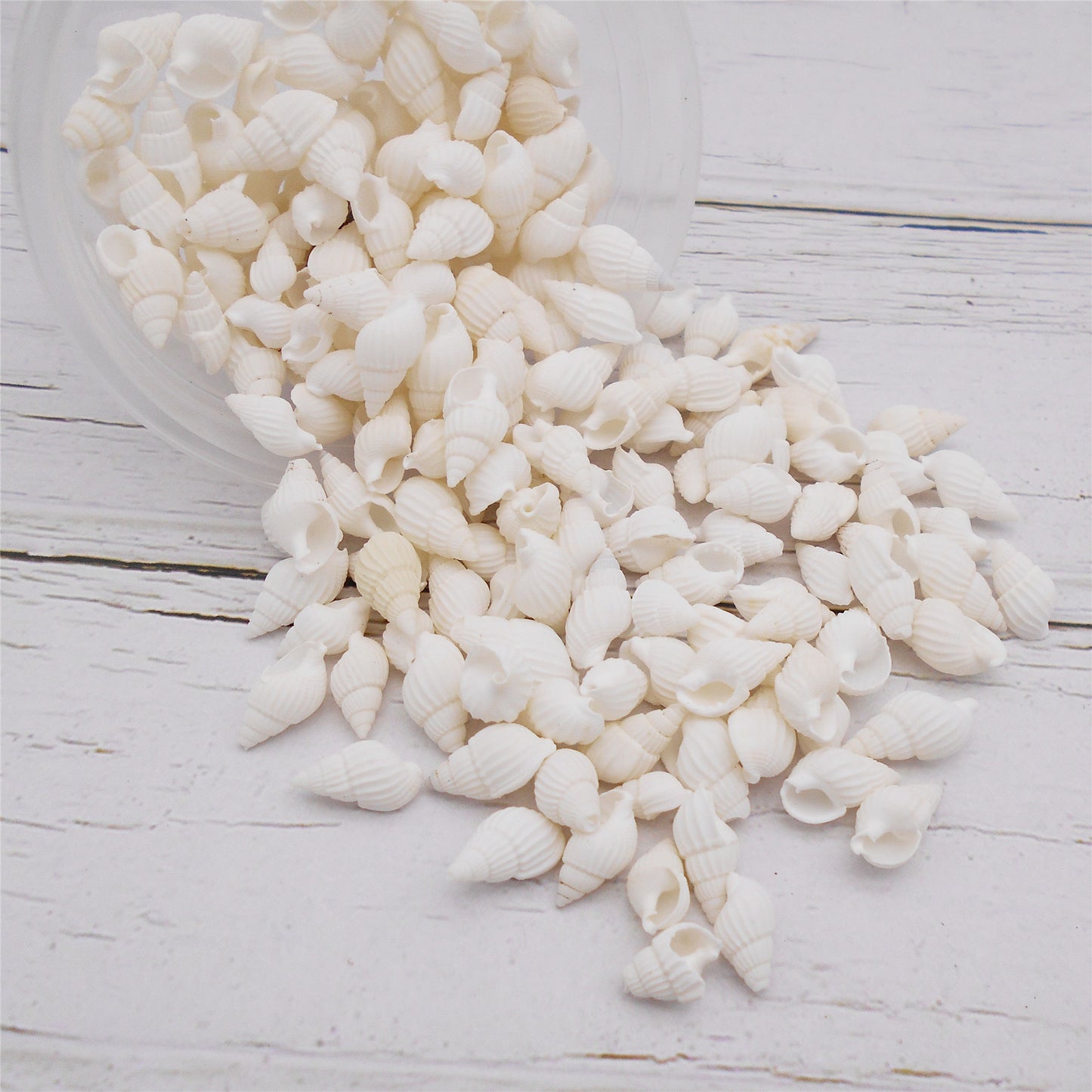 30g One Box of Natural Sea Conch Shell 8-20mm Mixed White Rice Cowrie Shell Beads Real Beach Shell for DIY Jewelry Crafts Supplies, Home Aquarium & Fish Tank Decor