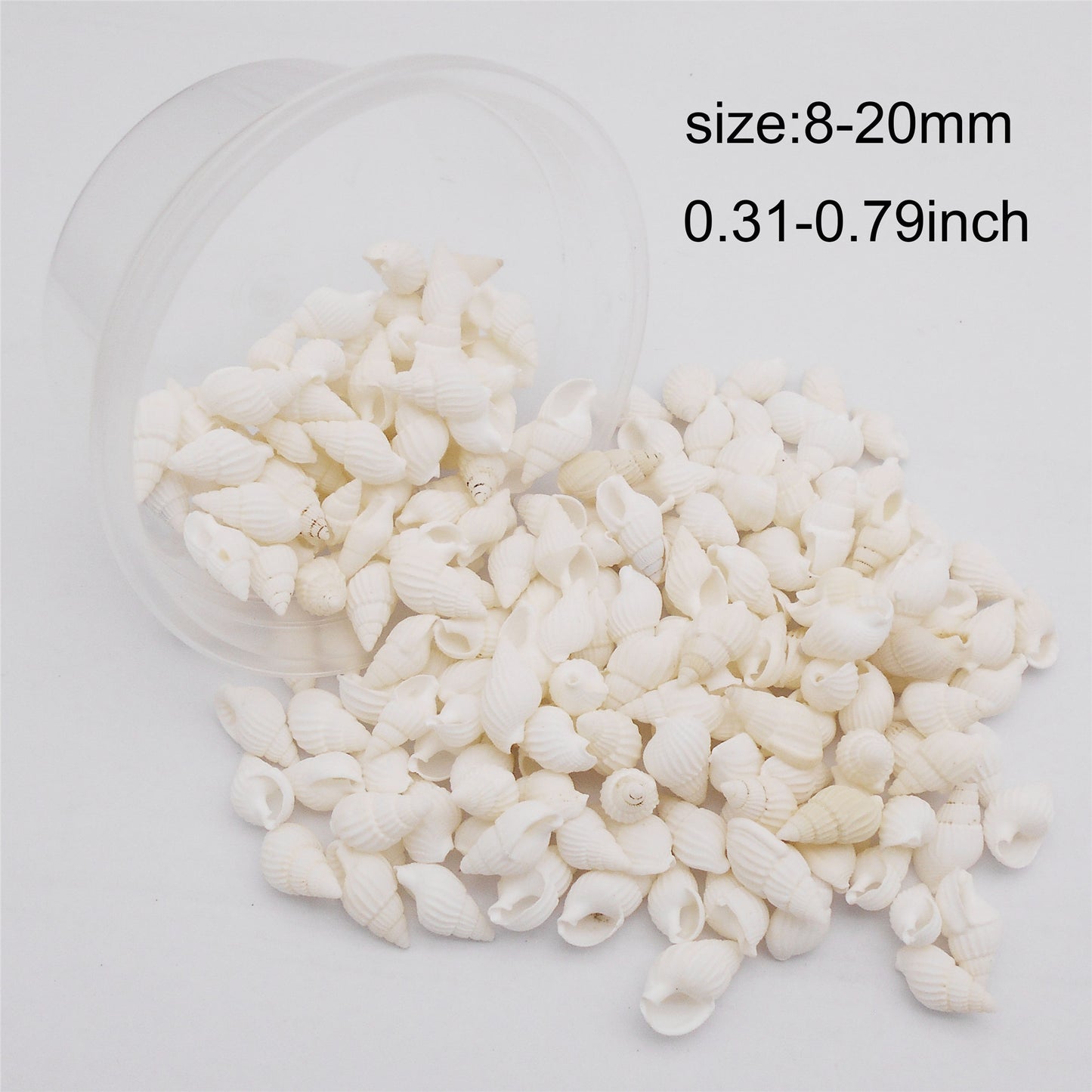 30g One Box of Natural Sea Conch Shell 8-20mm Mixed White Rice Cowrie Shell Beads Real Beach Shell for DIY Jewelry Crafts Supplies, Home Aquarium & Fish Tank Decor