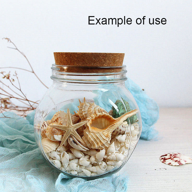 30g One Box of Natural Sea Conch Shell 8-20mm Mixed White Rice Cowrie Shell Beads Real Beach Shell for DIY Jewelry Crafts Supplies, Home Aquarium & Fish Tank Decor