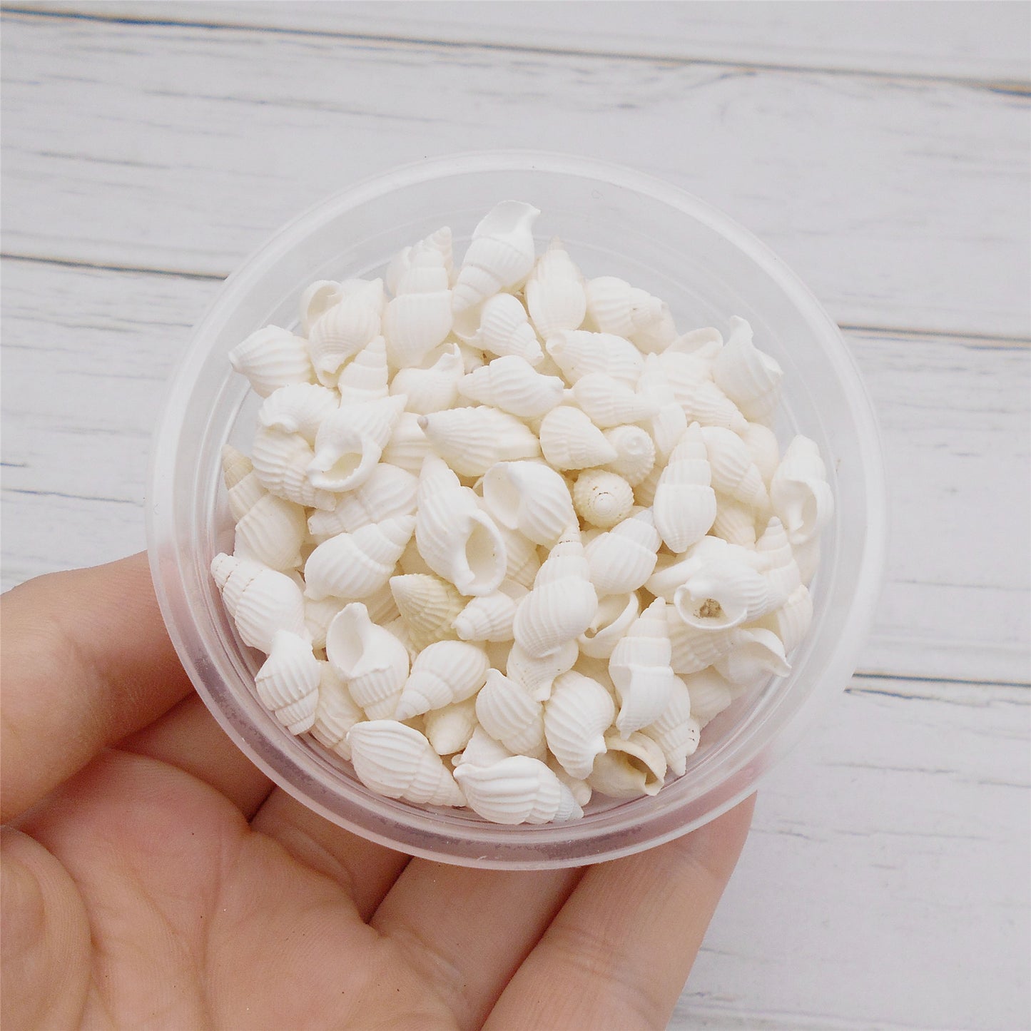 30g One Box of Natural Sea Conch Shell 8-20mm Mixed White Rice Cowrie Shell Beads Real Beach Shell for DIY Jewelry Crafts Supplies, Home Aquarium & Fish Tank Decor