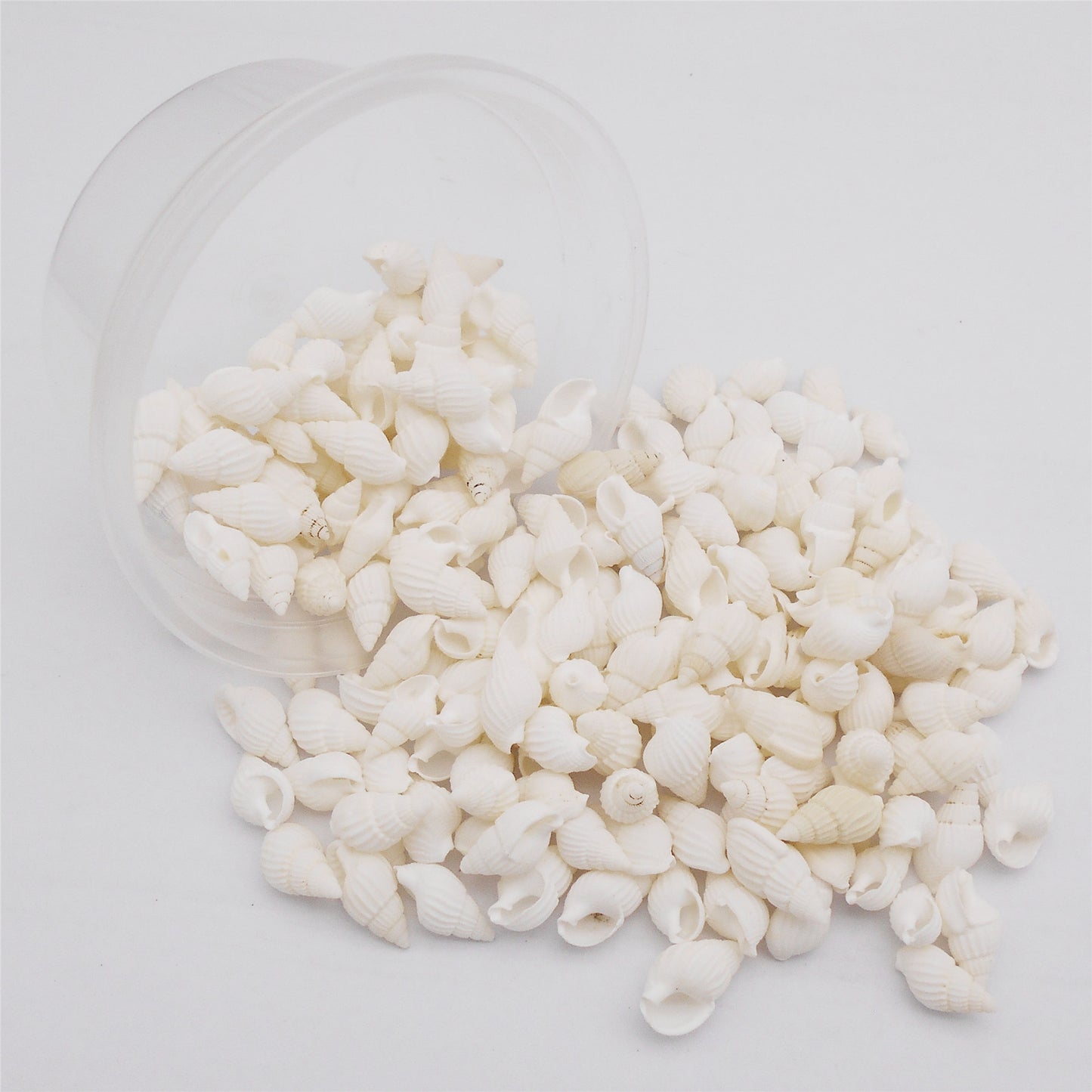 30g One Box of Natural Sea Conch Shell 8-20mm Mixed White Rice Cowrie Shell Beads Real Beach Shell for DIY Jewelry Crafts Supplies, Home Aquarium & Fish Tank Decor