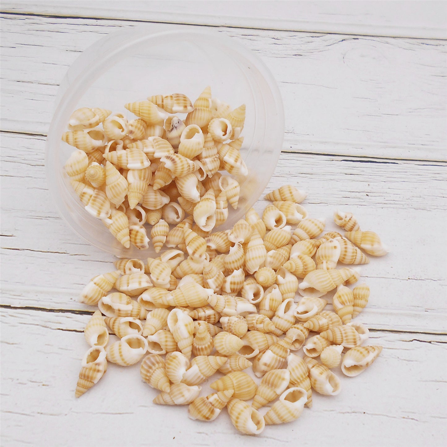 30g One Box of Marine Conch Shell 8-20mm Mixed Natural Yellow Rice Cowrie Beach Spiral Shell Beads for DIY Jewelry Making Sea Art Crafts Supplies Fish Tank Decor
