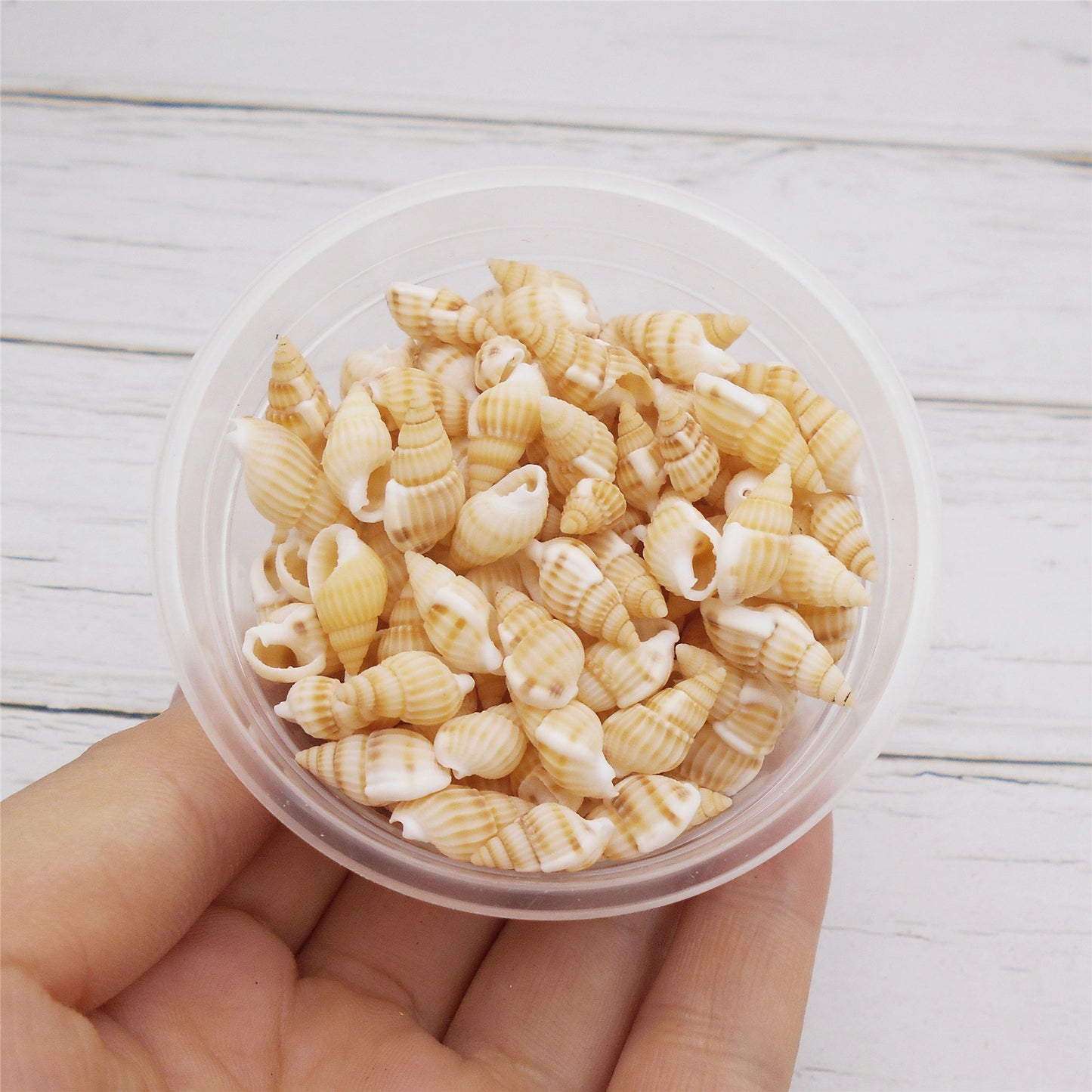 30g One Box of Marine Conch Shell 8-20mm Mixed Natural Yellow Rice Cowrie Beach Spiral Shell Beads for DIY Jewelry Making Sea Art Crafts Supplies Fish Tank Decor